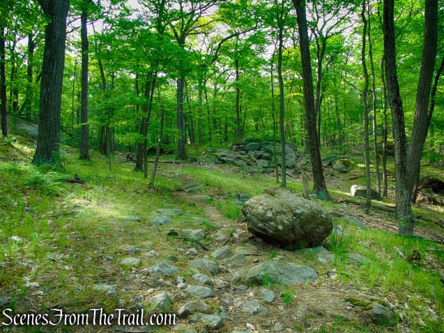 Nurian Trail - Harriman State Park