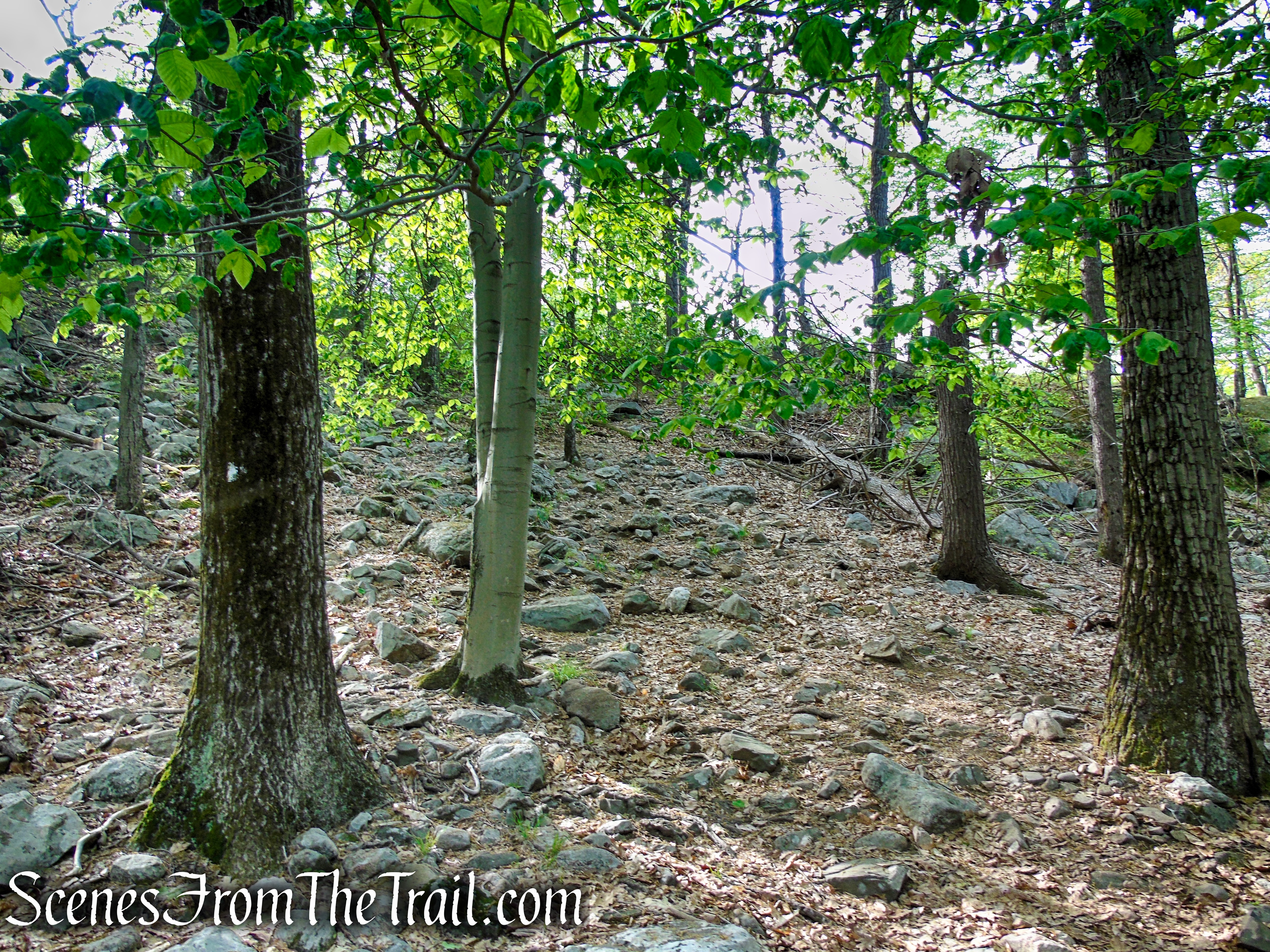 Nurian Trail - Harriman State Park