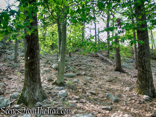 Nurian Trail - Harriman State Park