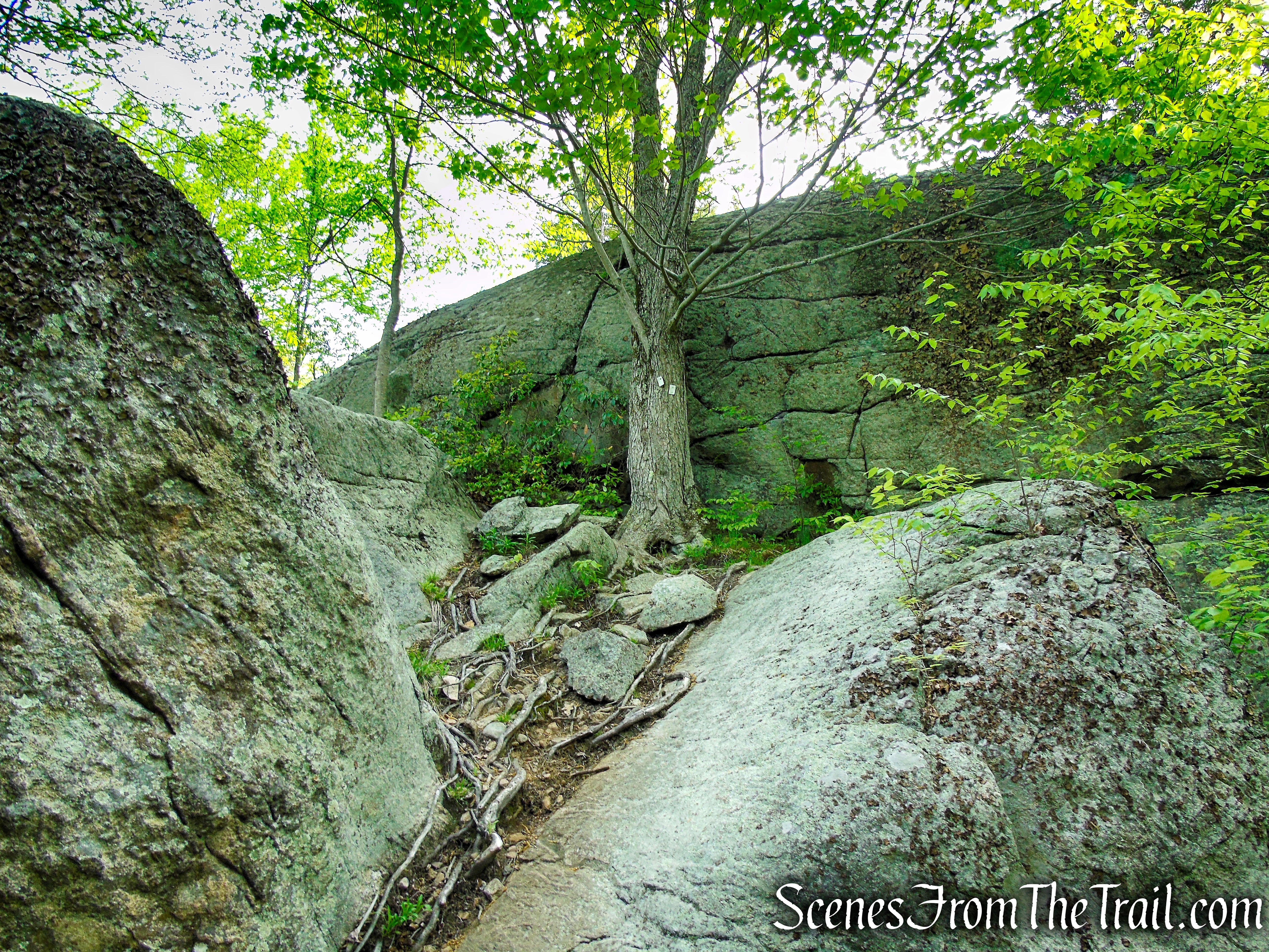 Nurian Trail - Harriman State Park