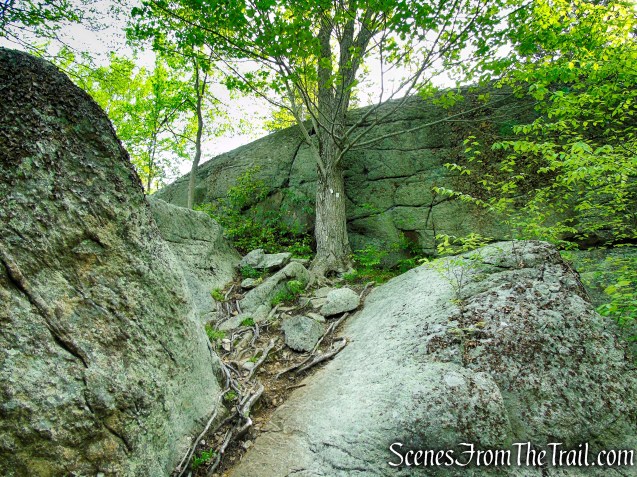 Nurian Trail - Harriman State Park