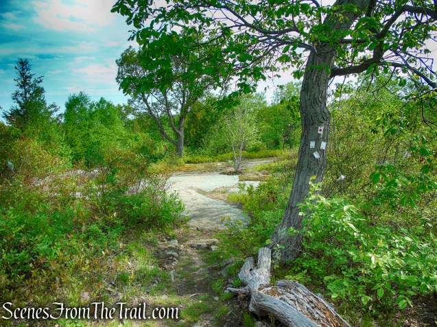 Terminus of Nurian Trail