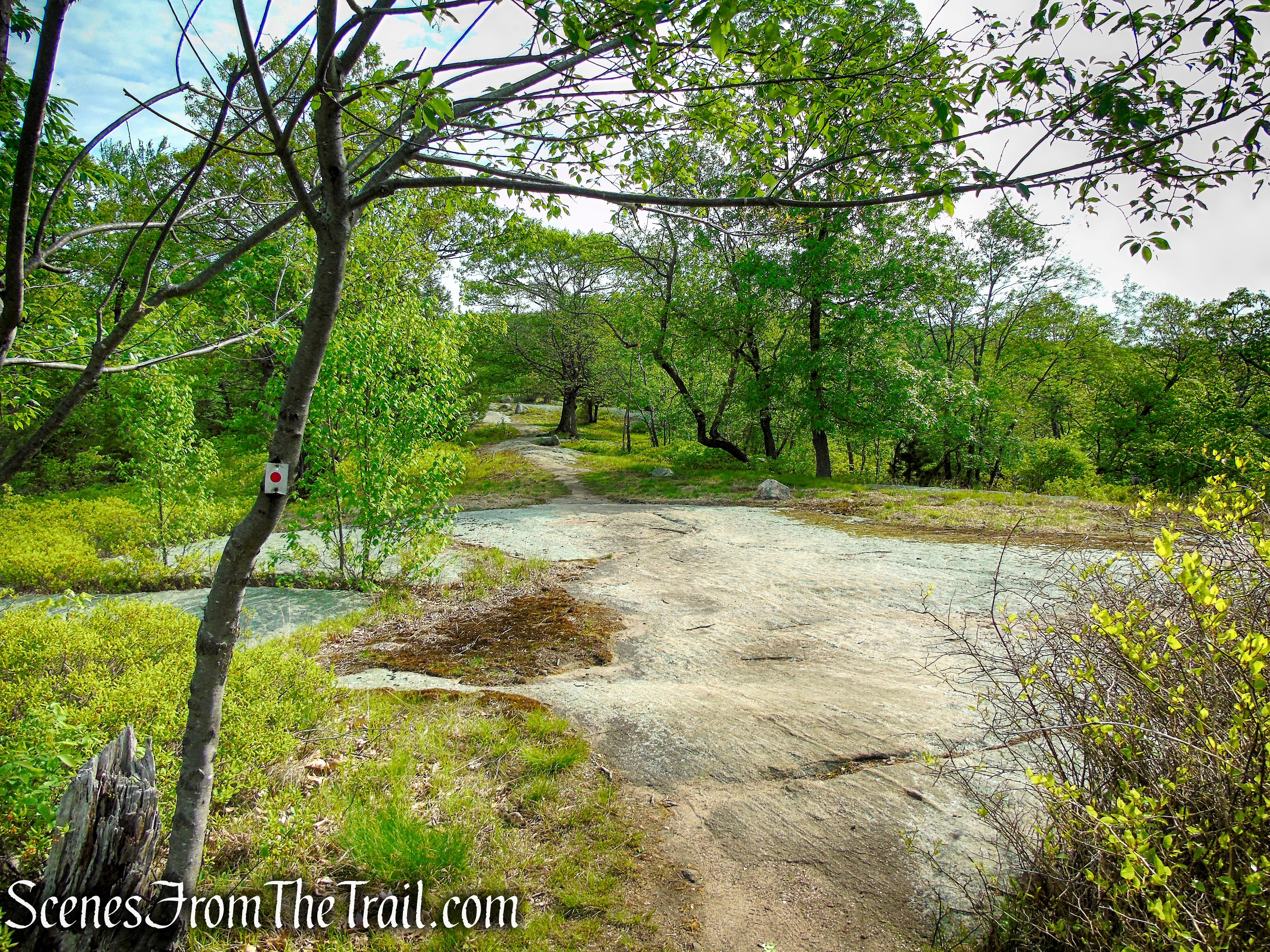 Ramapo-Dunderberg Trail - Black Rock Mountain