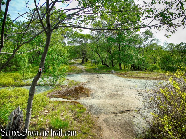 Ramapo-Dunderberg Trail - Black Rock Mountain