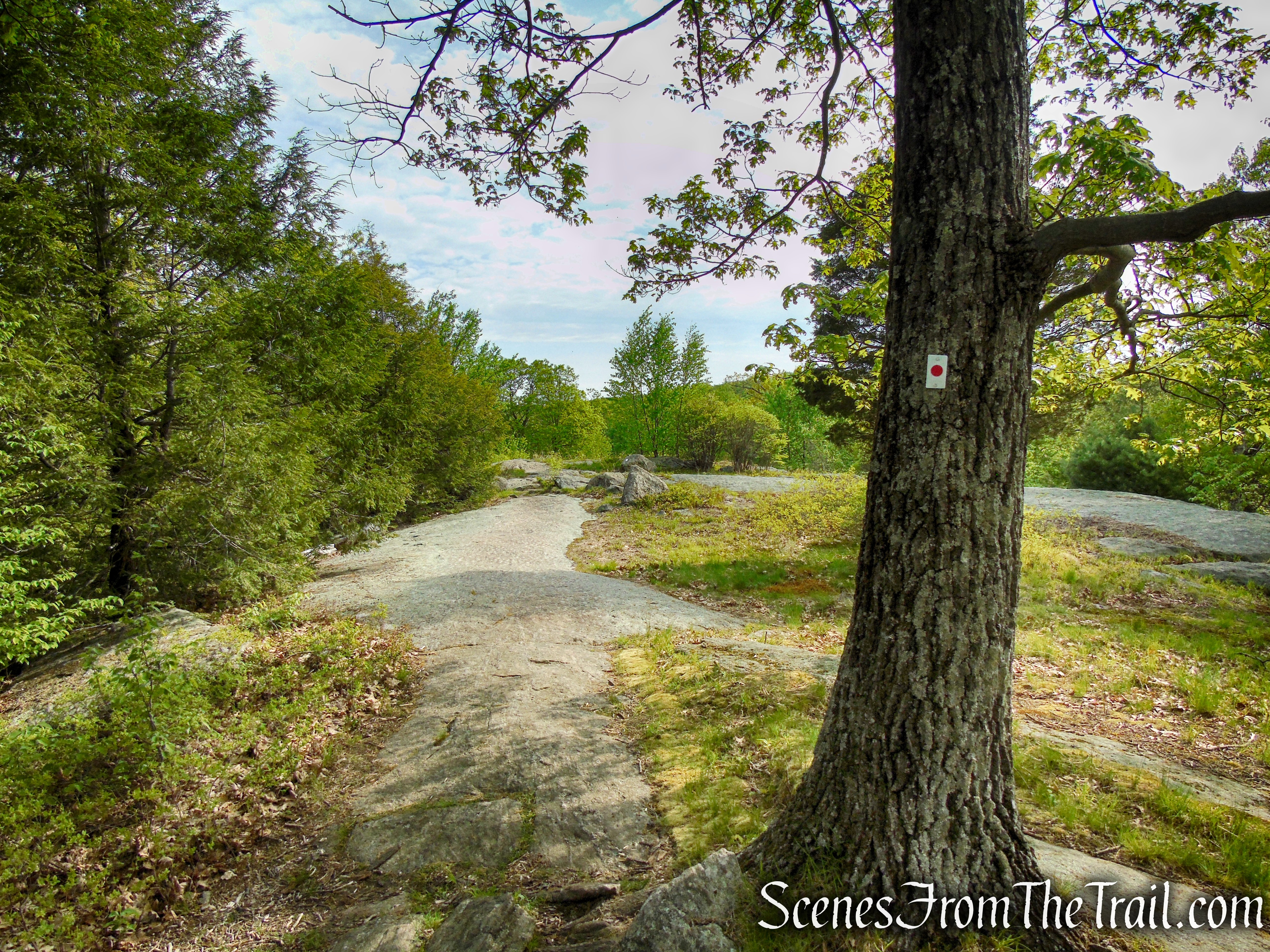 Ramapo-Dunderberg Trail - Black Rock Mountain