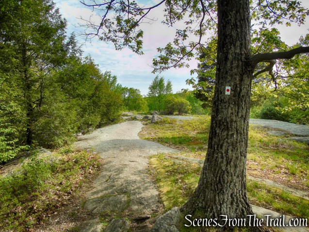 Ramapo-Dunderberg Trail - Black Rock Mountain