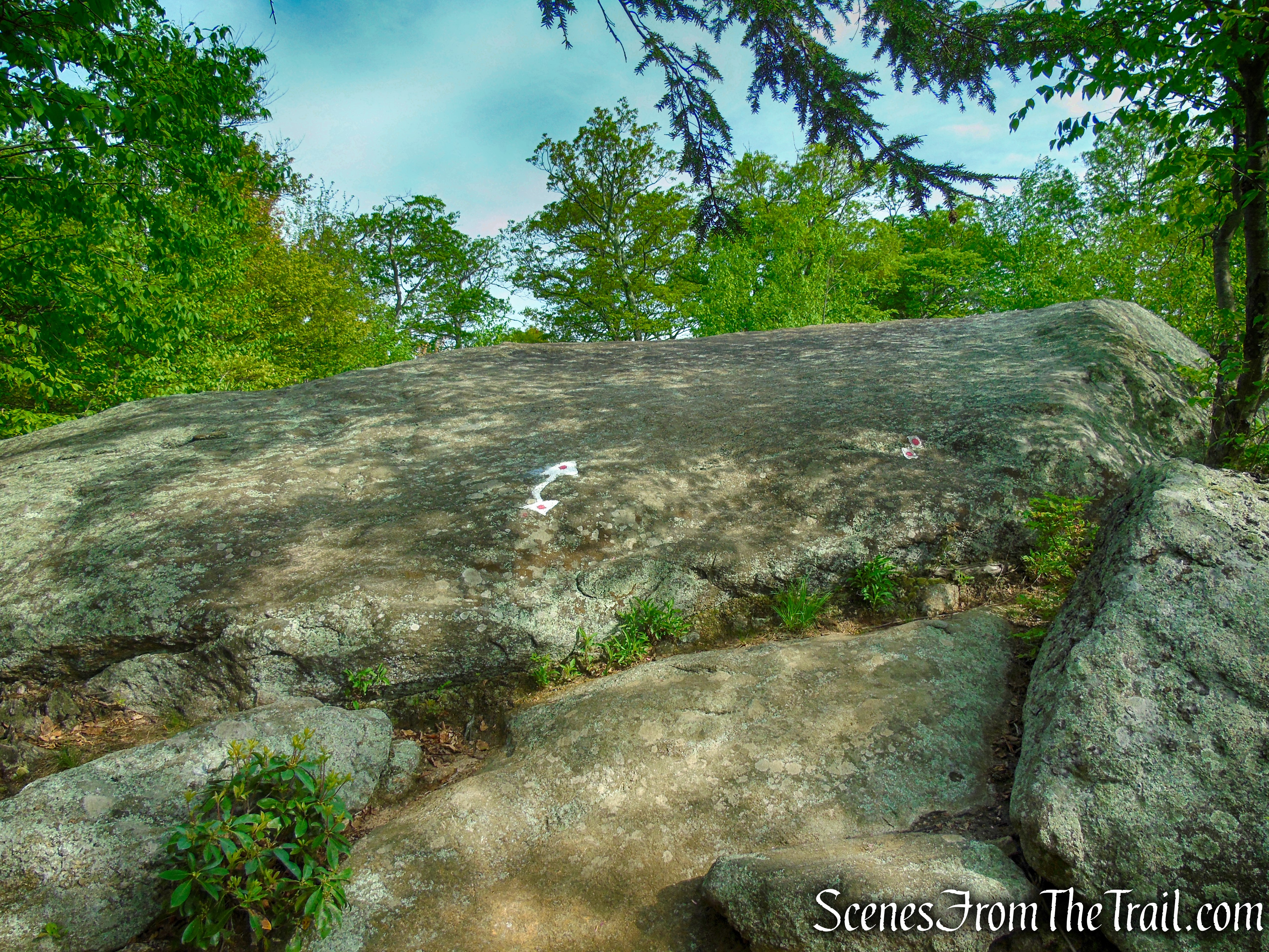 Ramapo-Dunderberg Trail - Black Rock Mountain