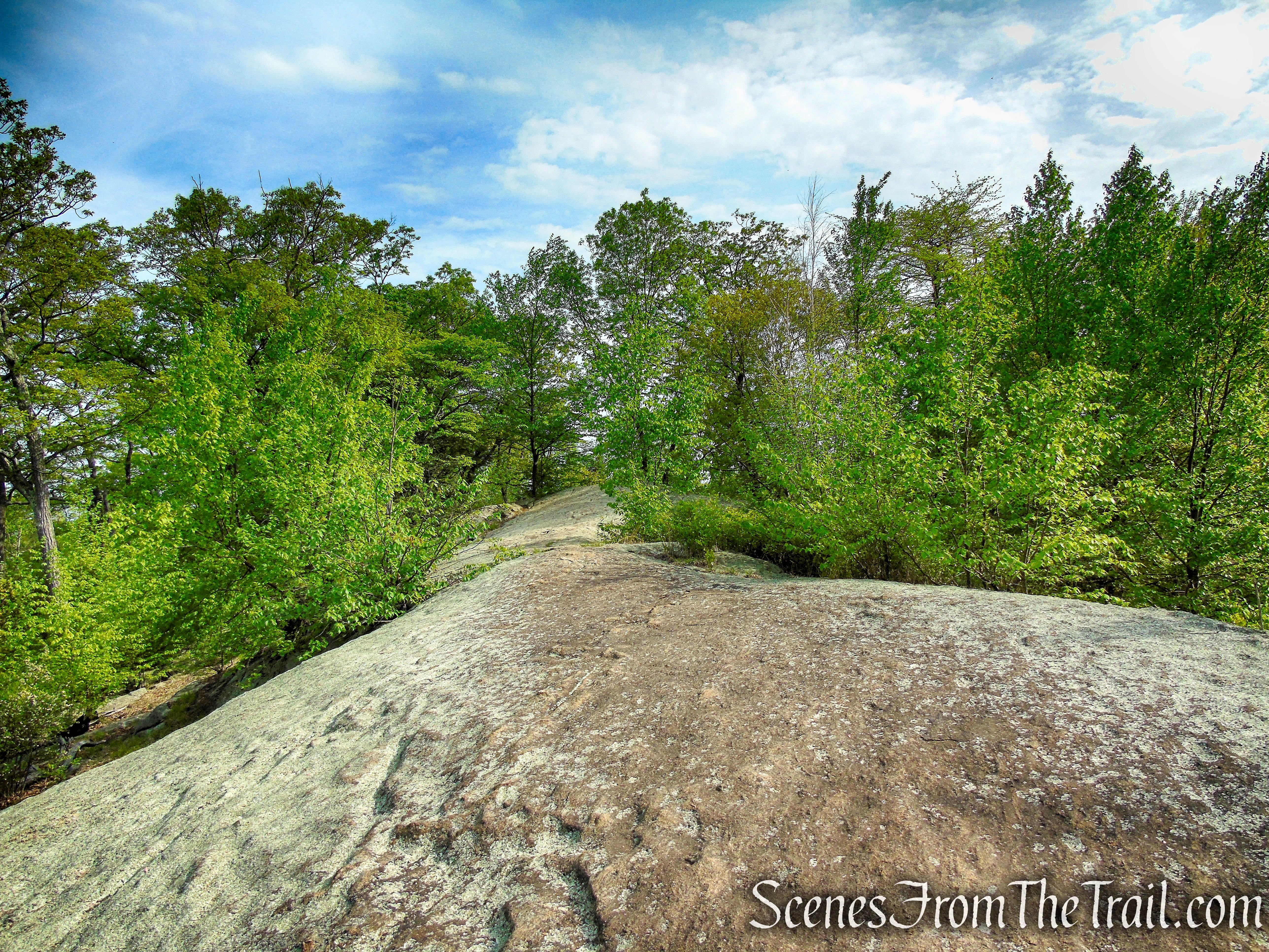 Ramapo-Dunderberg Trail - Black Rock Mountain