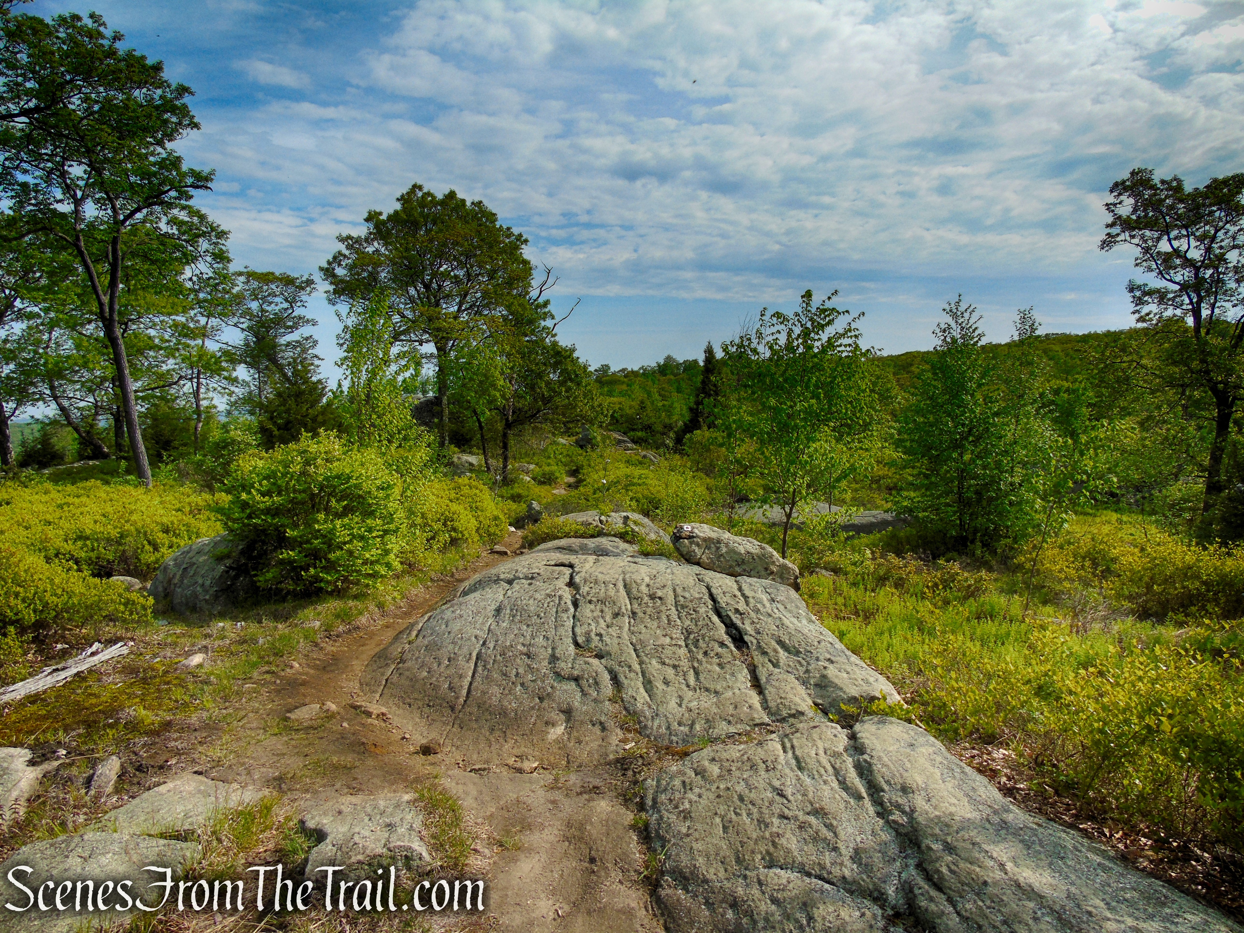 Ramapo-Dunderberg Trail - Black Rock Mountain