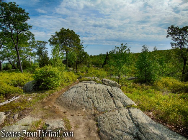 Ramapo-Dunderberg Trail - Black Rock Mountain