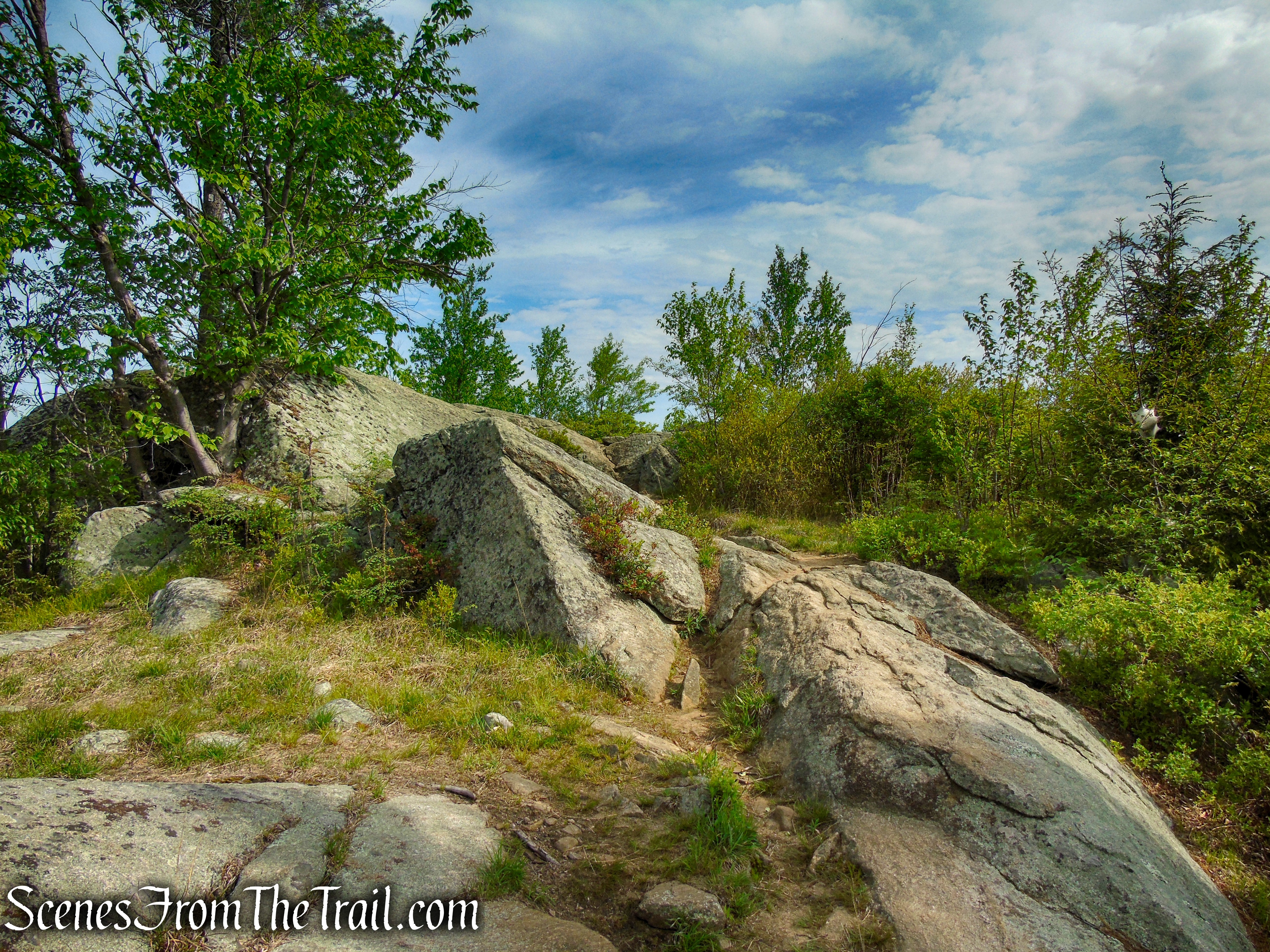 Ramapo-Dunderberg Trail - Black Rock Mountain