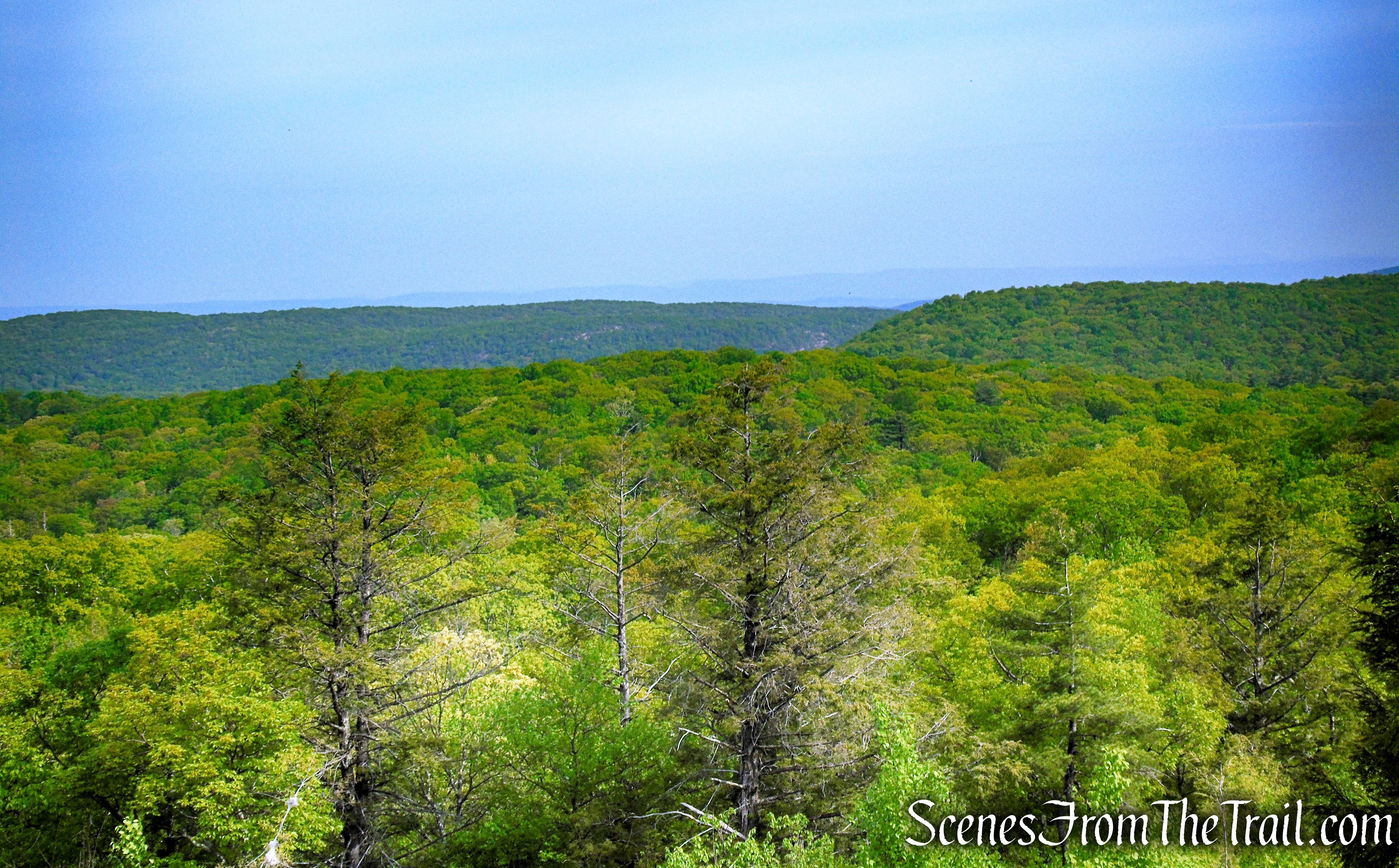 View from the Ramapo-Dunderberg Trail - Black Rock Mountain