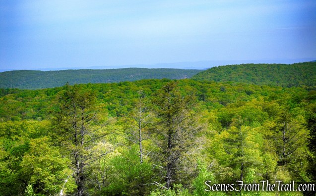 View from the Ramapo-Dunderberg Trail - Black Rock Mountain