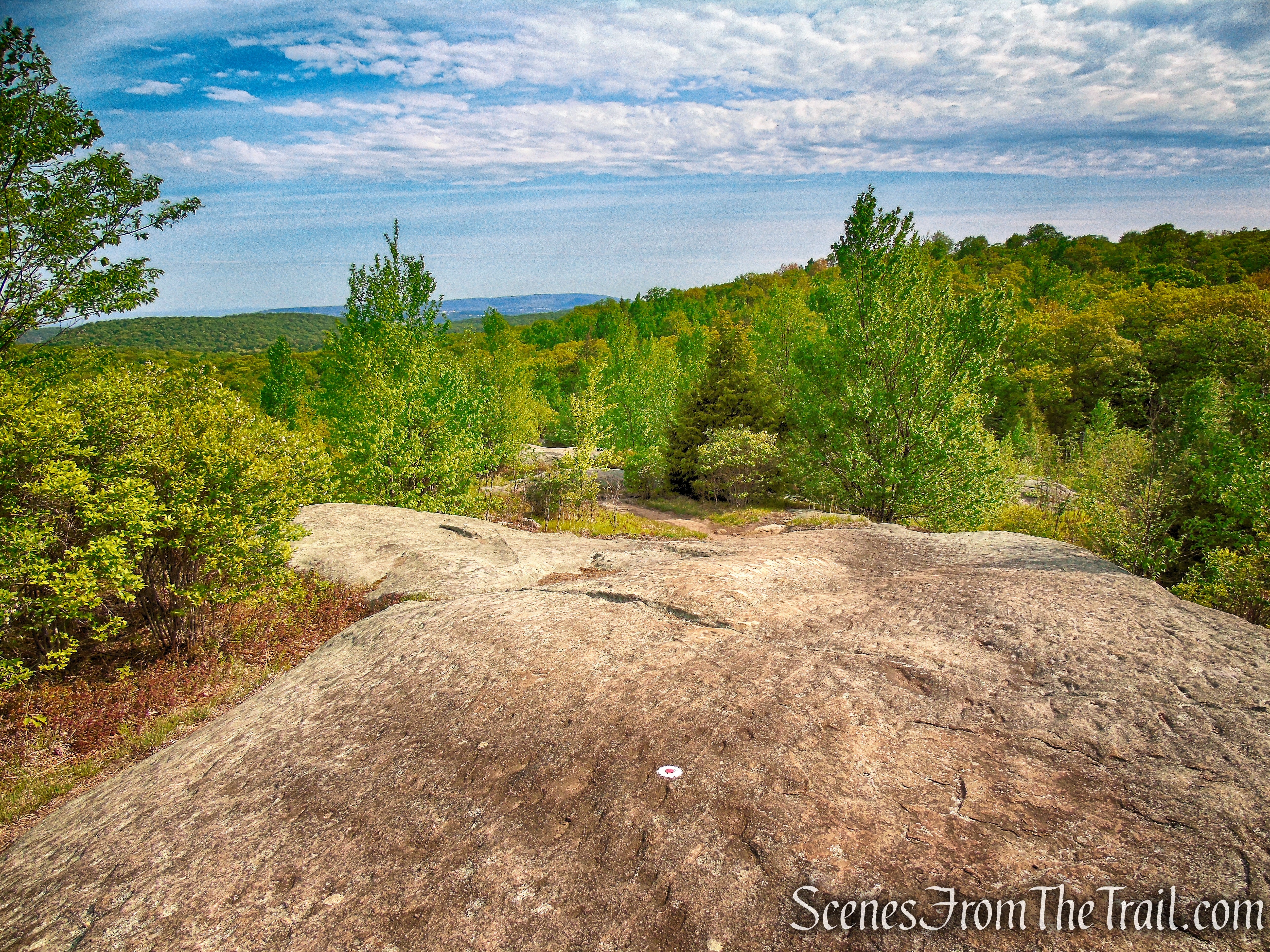 Ramapo-Dunderberg Trail - Black Rock Mountain