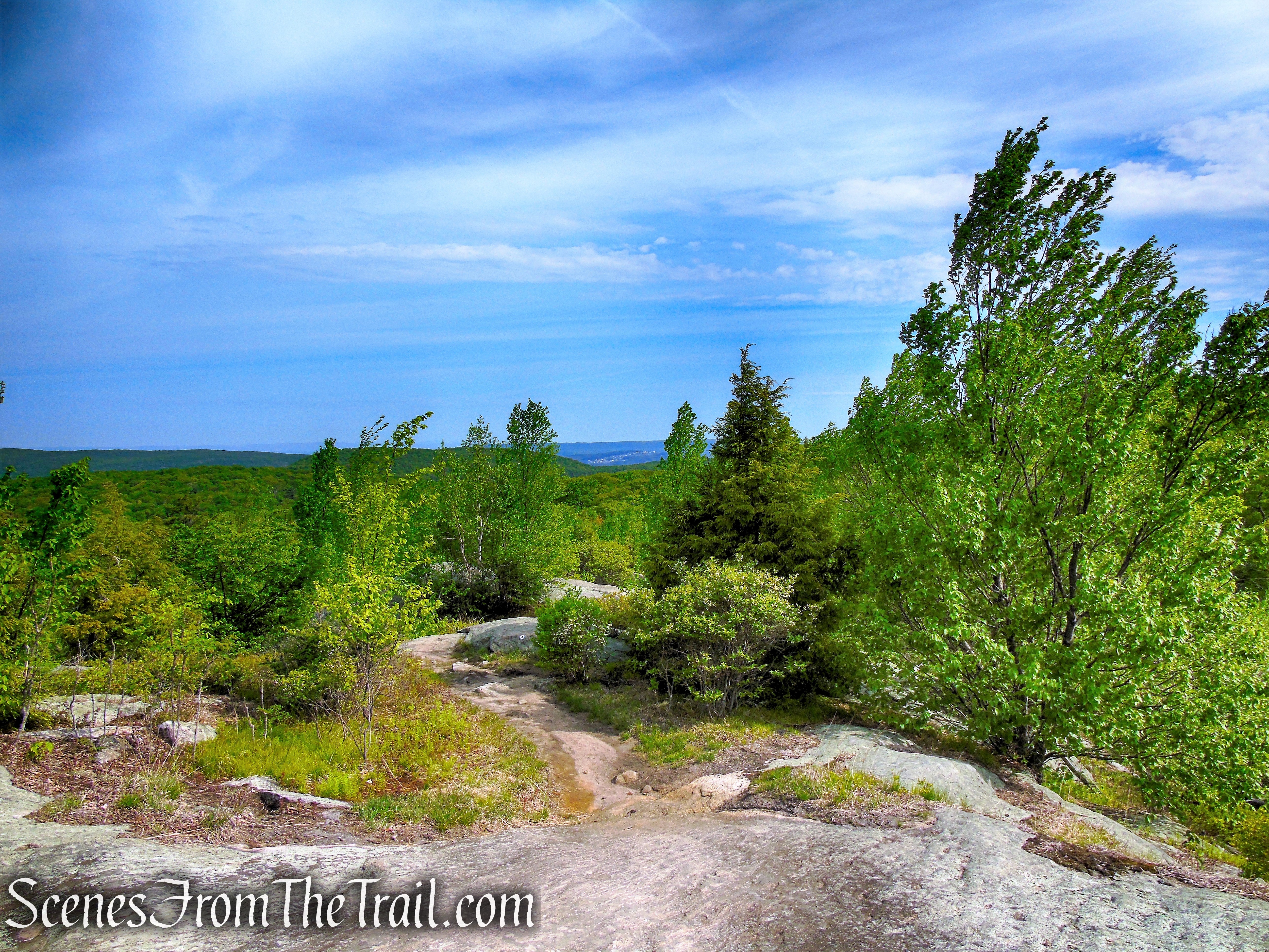 Ramapo-Dunderberg Trail - Black Rock Mountain