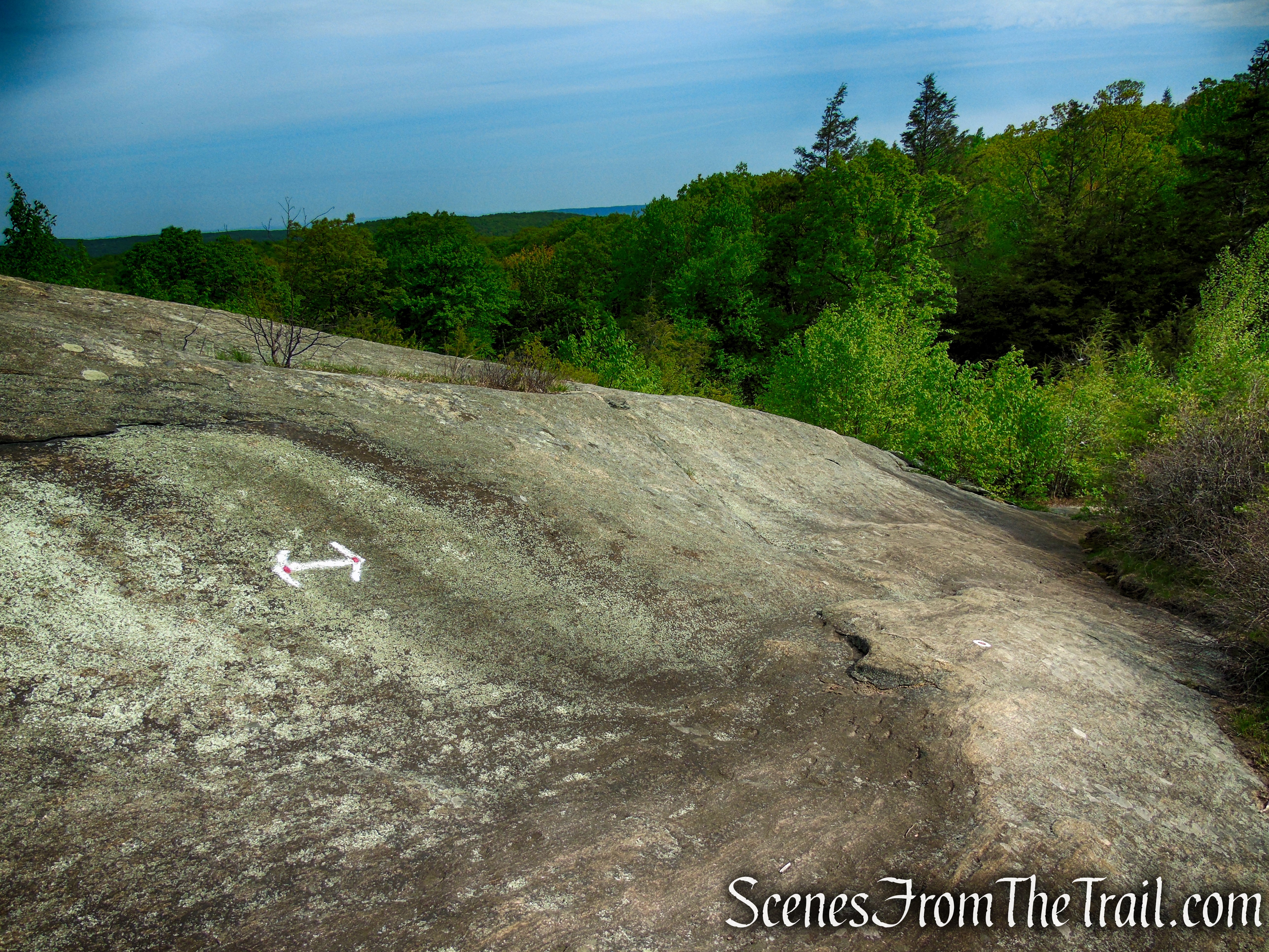 Ramapo-Dunderberg Trail - Black Rock Mountain