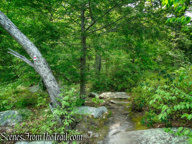 Ramapo-Dunderberg Trail - Black Rock Mountain