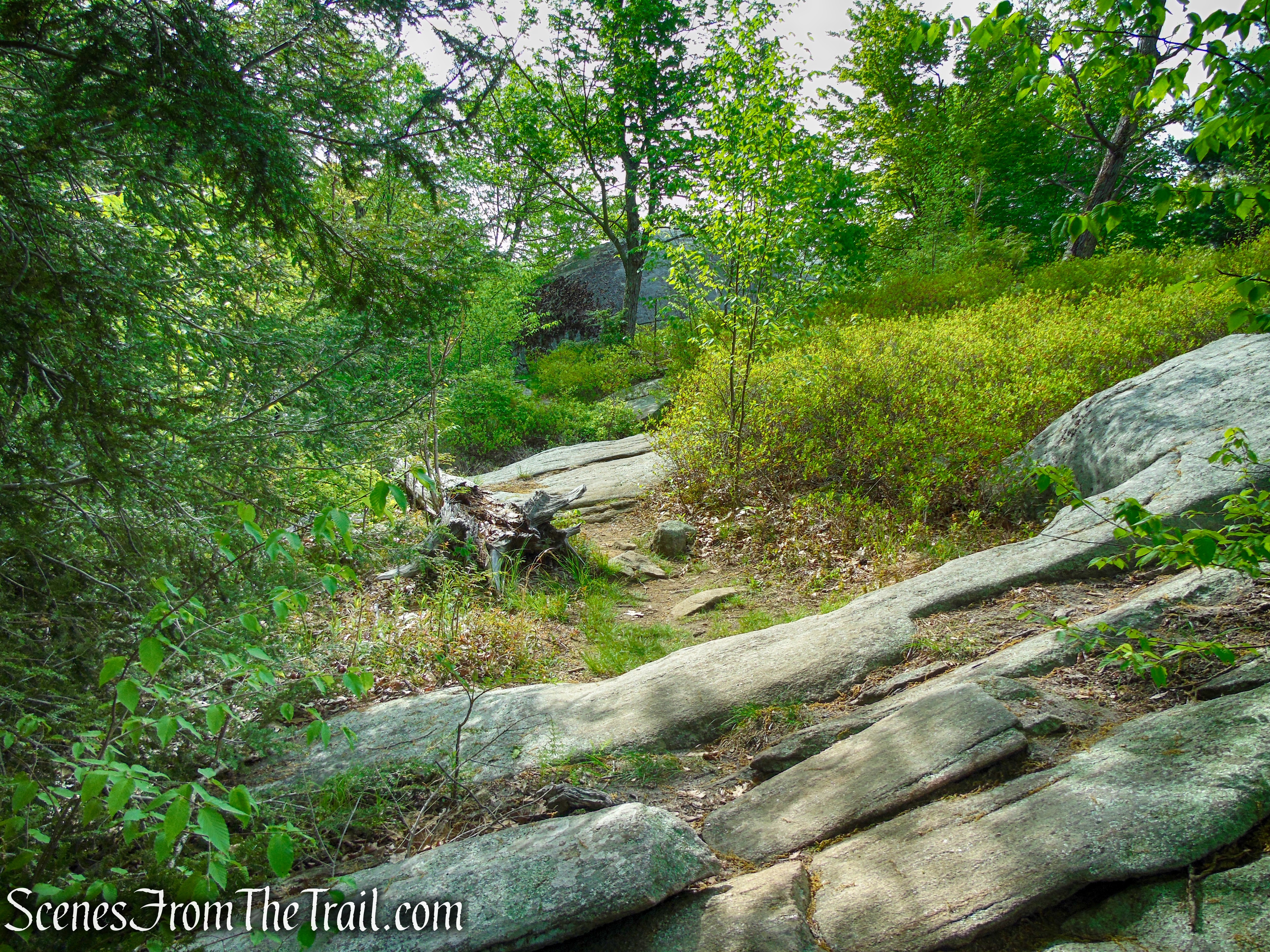 Ramapo-Dunderberg Trail - Black Rock Mountain