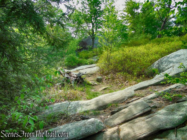 Ramapo-Dunderberg Trail - Black Rock Mountain