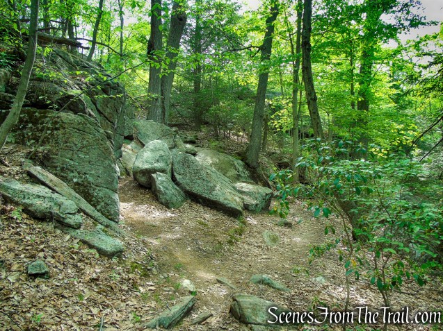 Ramapo-Dunderberg Trail - Black Rock Mountain