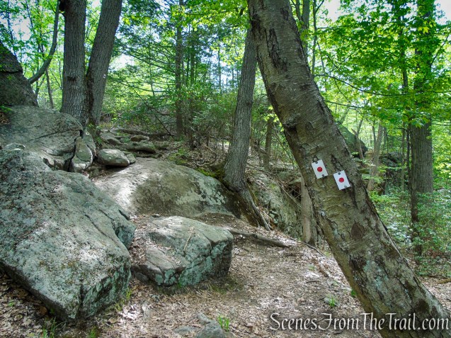 Ramapo-Dunderberg Trail - Black Rock Mountain