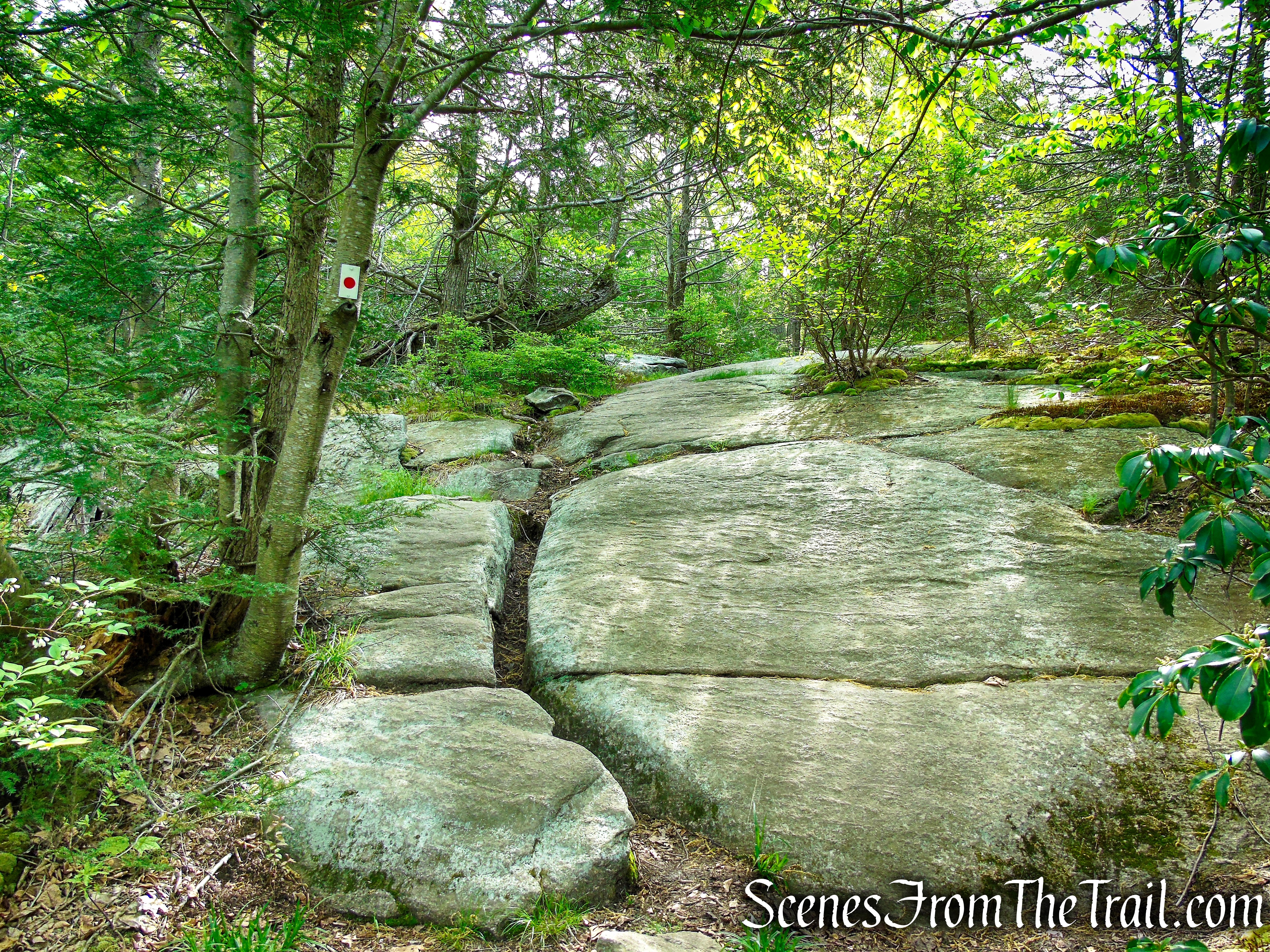 Ramapo-Dunderberg Trail - Black Rock Mountain
