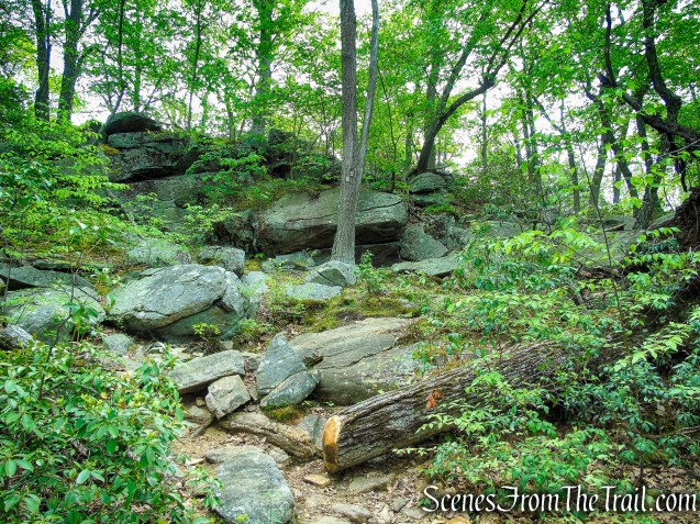 Ramapo-Dunderberg Trail - Black Rock Mountain