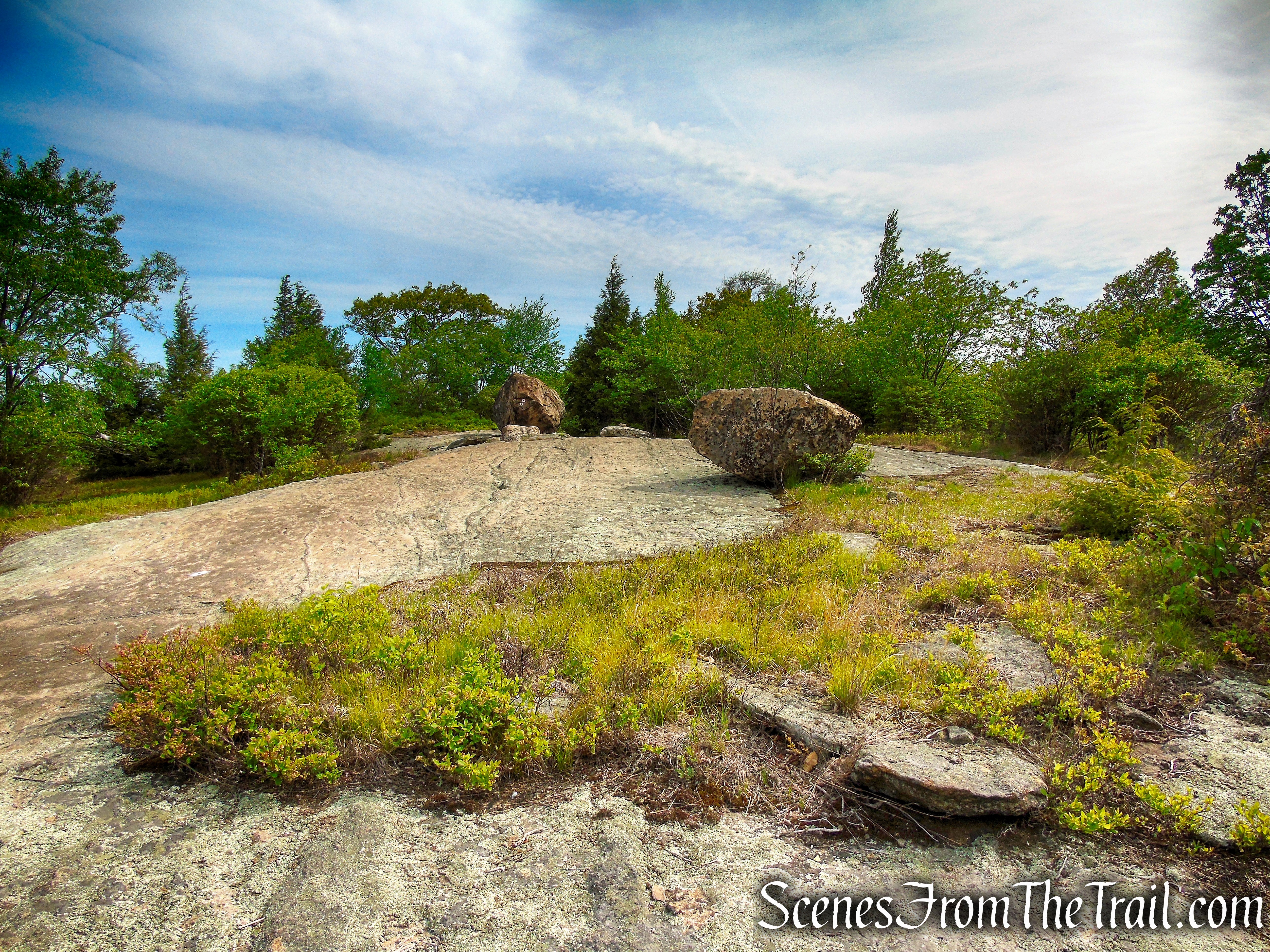 R-D Trail - Bald Rocks - Black Rock Mountain
