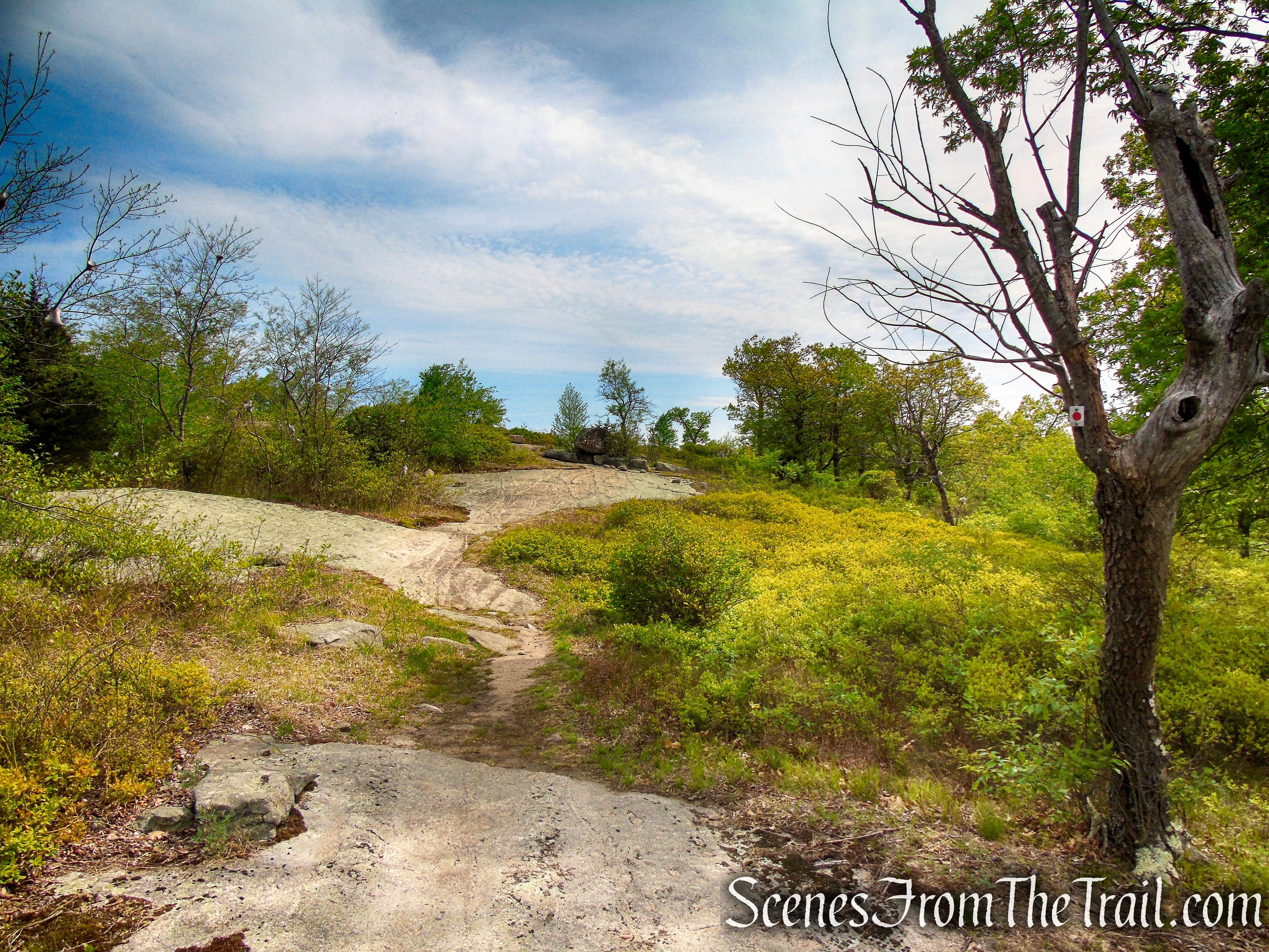 R-D Trail – Bald Rocks – Black Rock Mountain