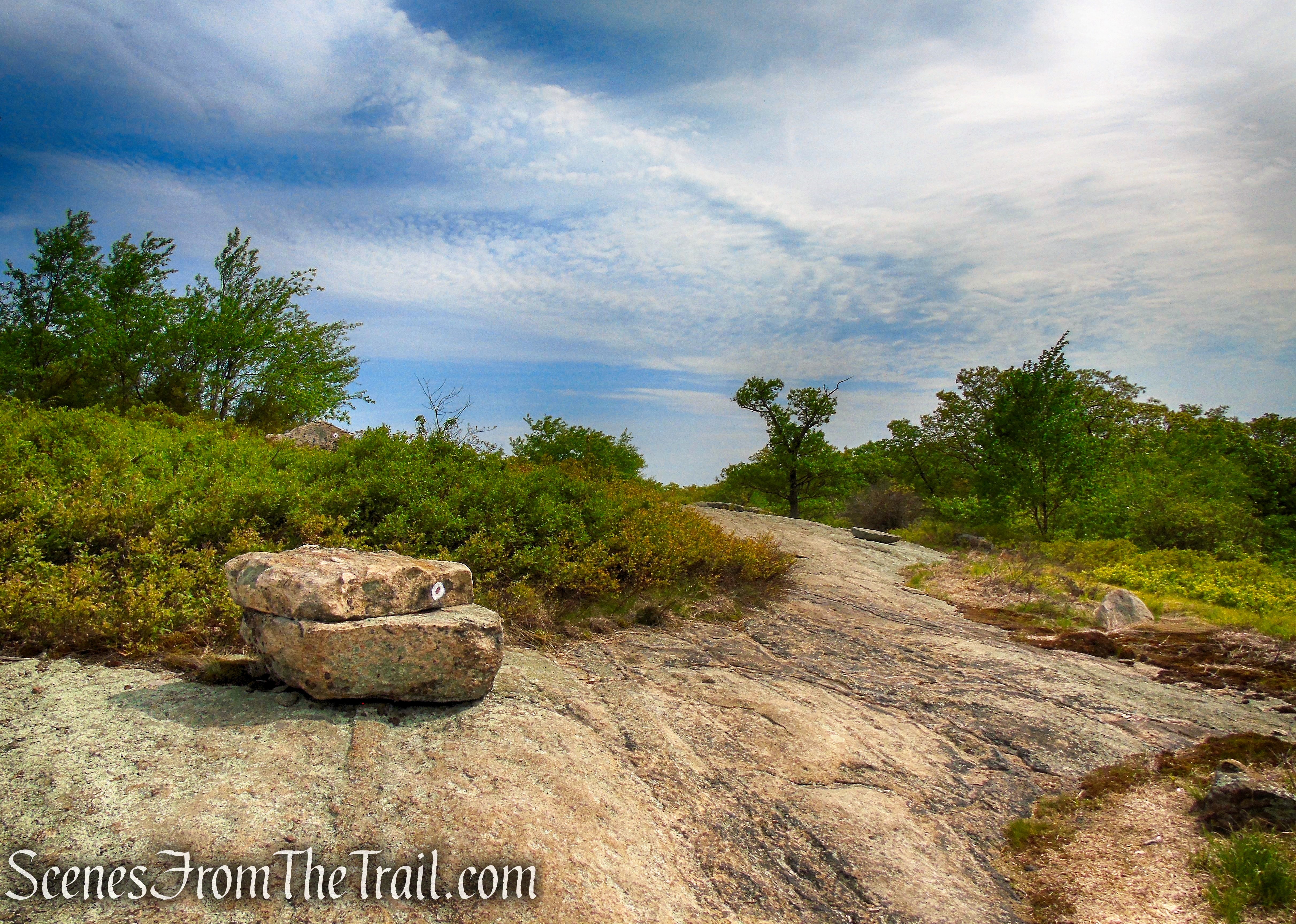 R-D Trail – Bald Rocks – Black Rock Mountain