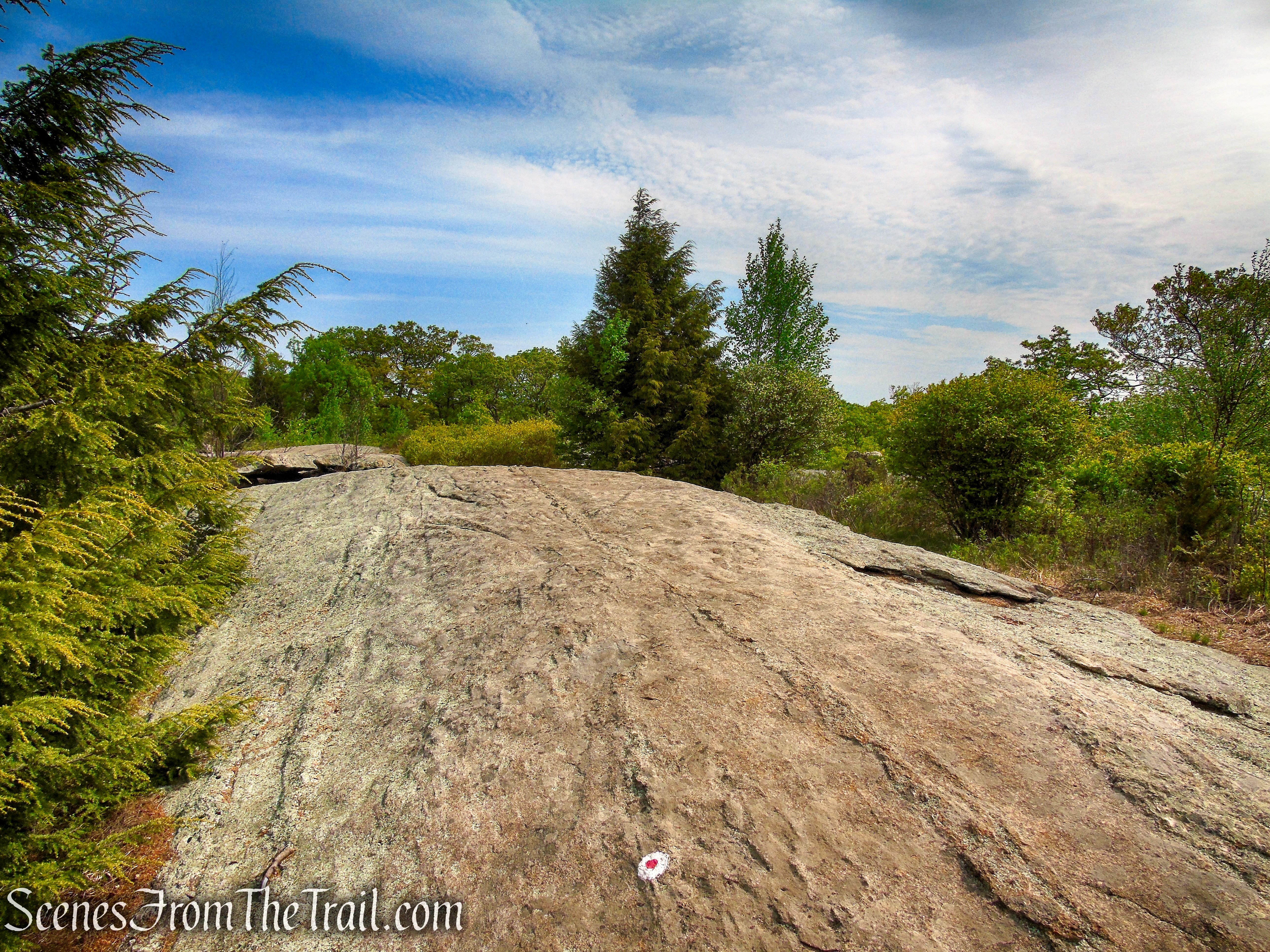 R-D Trail – Bald Rocks – Black Rock Mountain