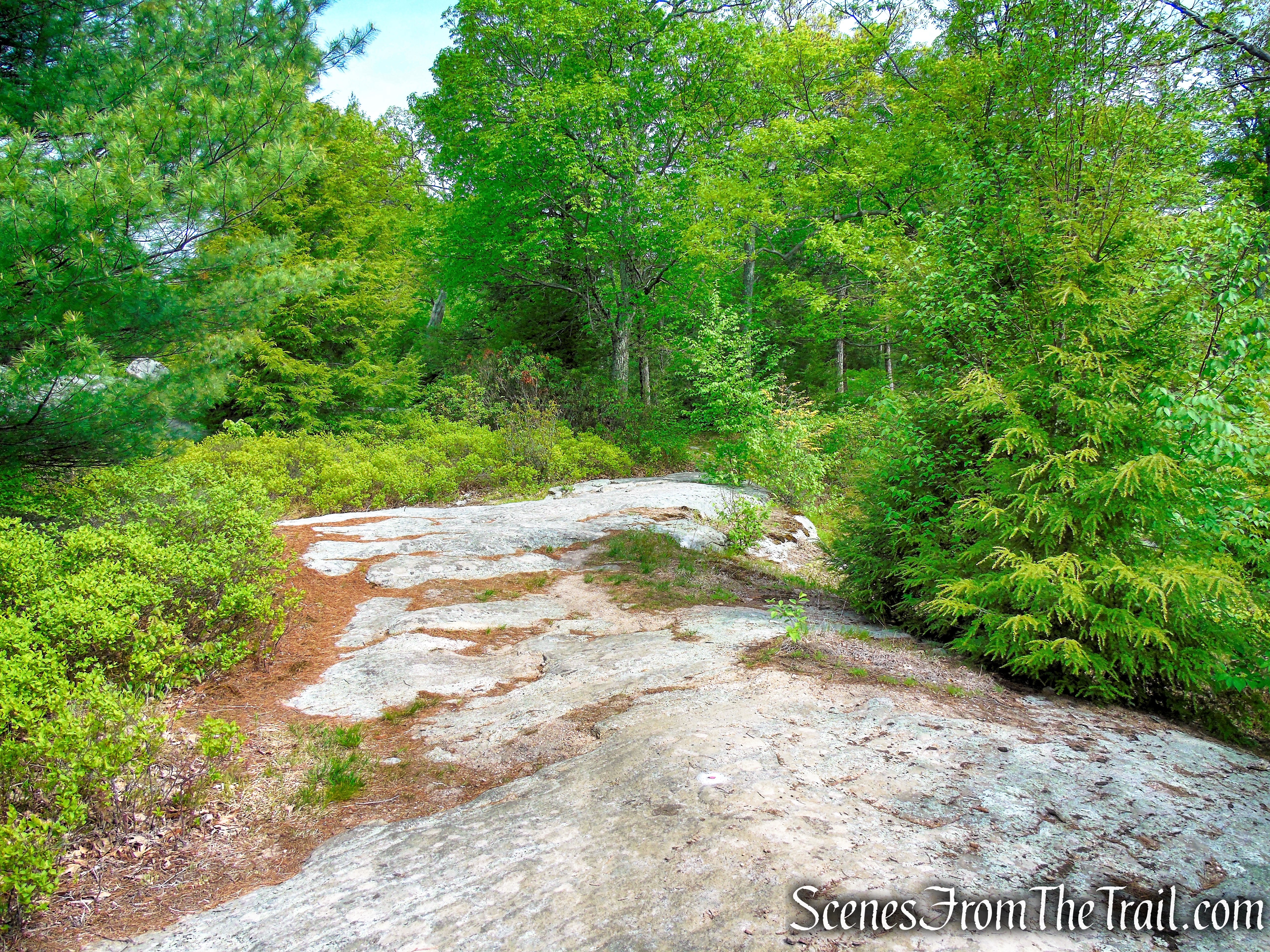 R-D Trail – Bald Rocks – Black Rock Mountain
