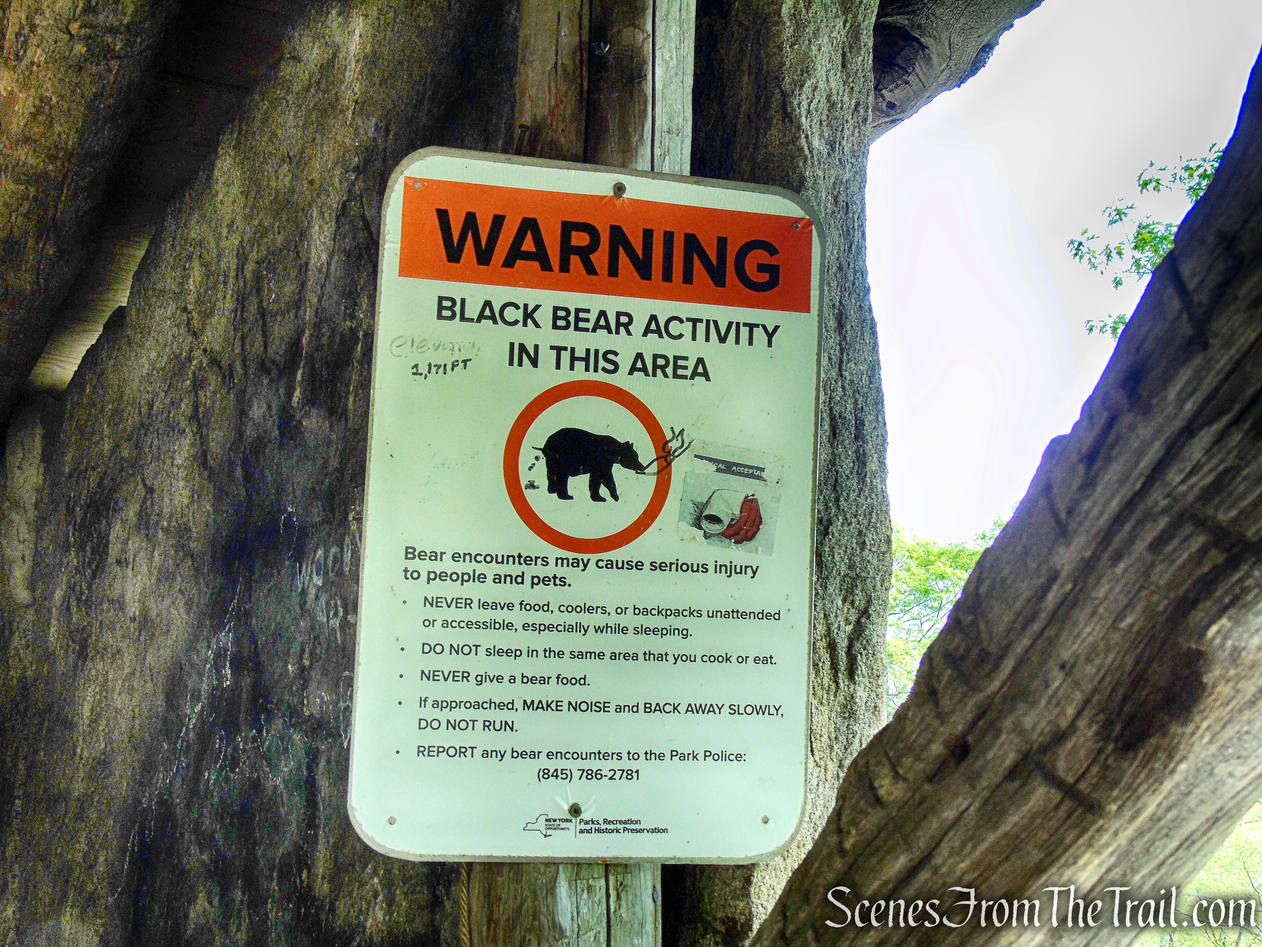 Bald Rocks Shelter – Harriman State Park