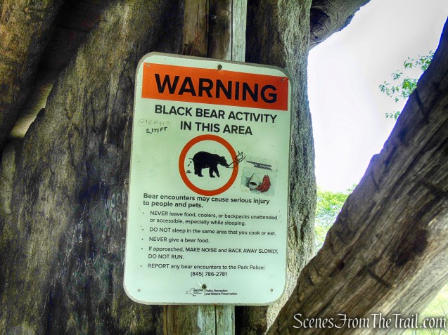 Bald Rocks Shelter – Harriman State Park