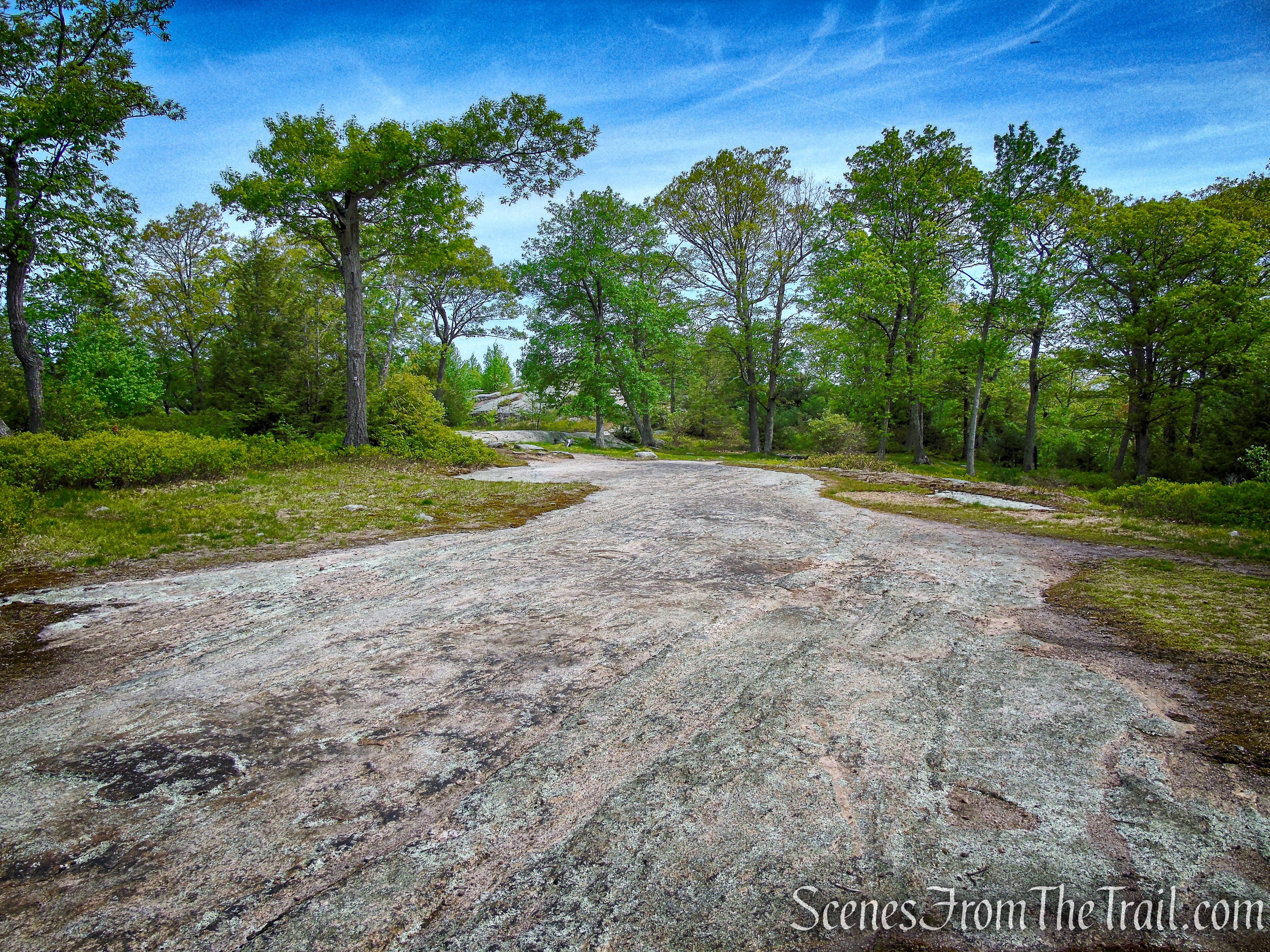 R-D Trail – Bald Rocks – Black Rock Mountain