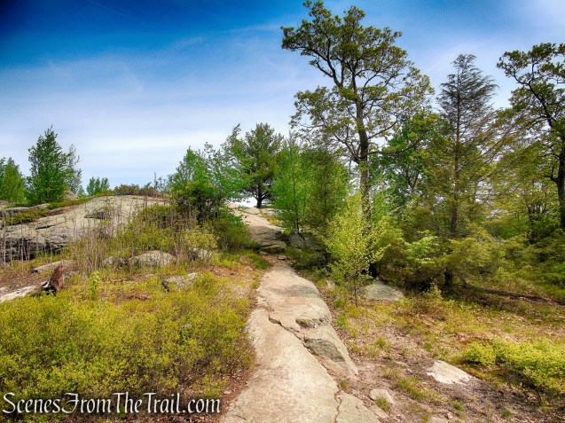 R-D Trail – Bald Rocks – Black Rock Mountain