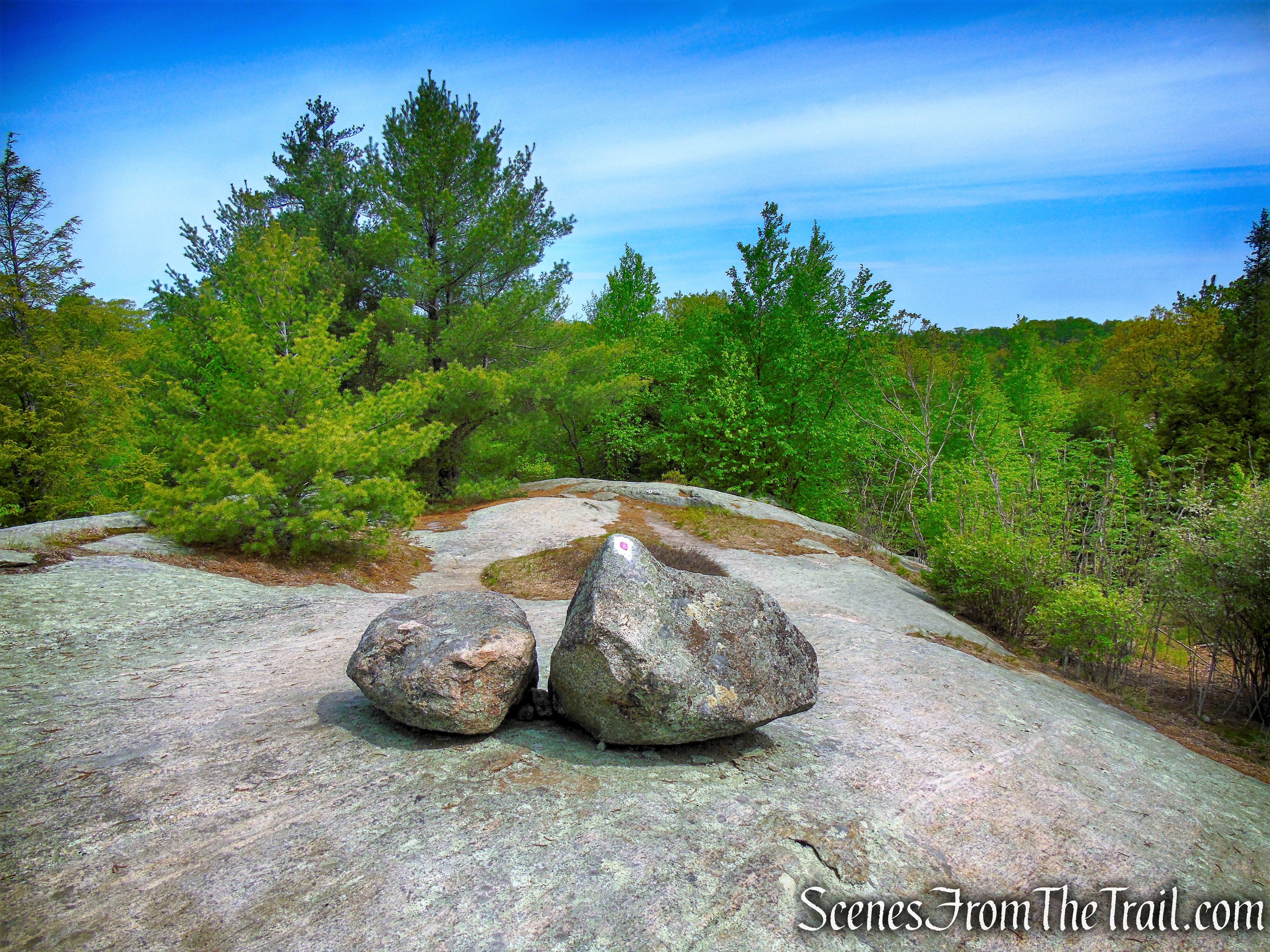 R-D Trail – Bald Rocks – Black Rock Mountain