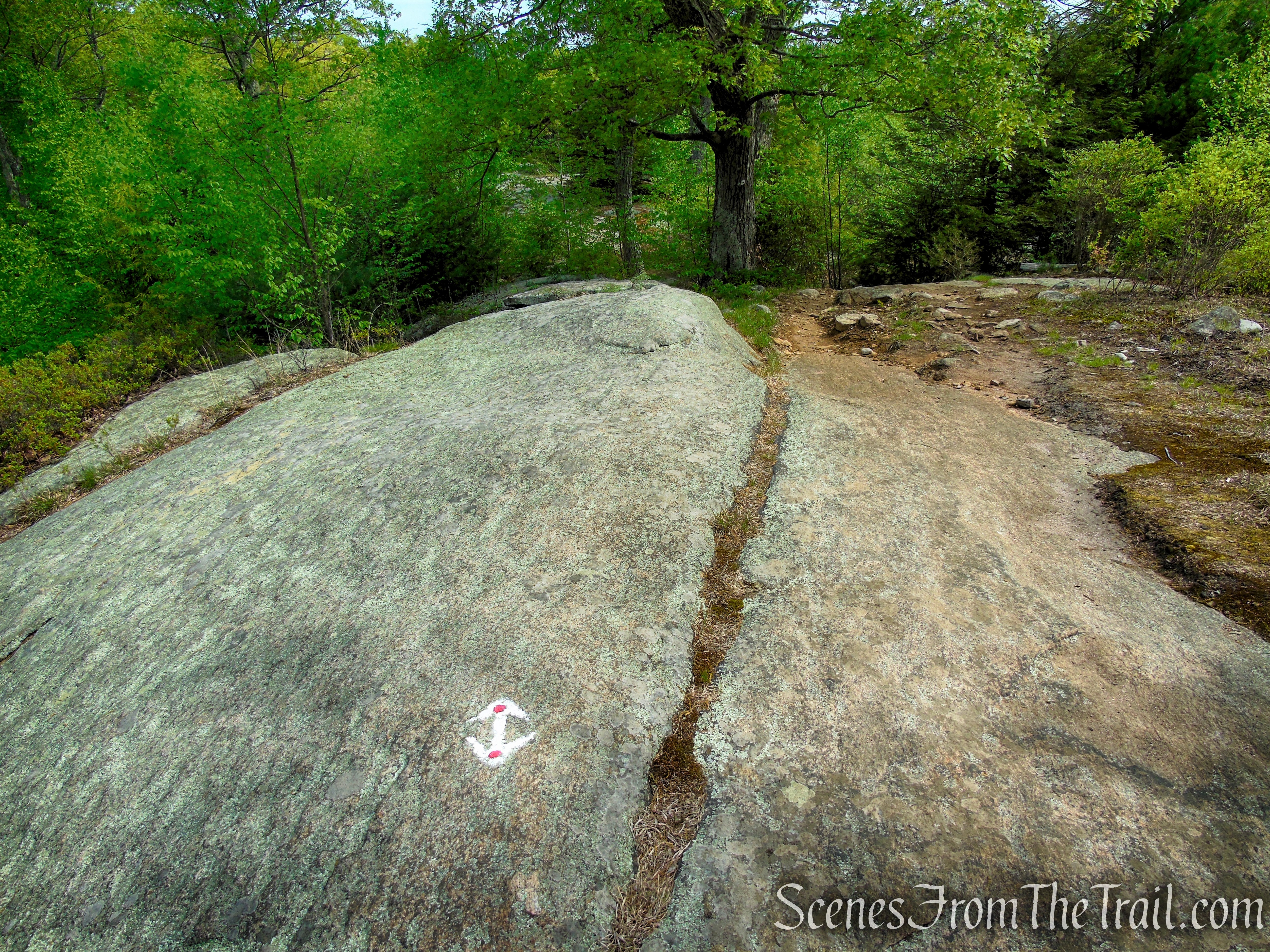 R-D Trail – Bald Rocks – Black Rock Mountain