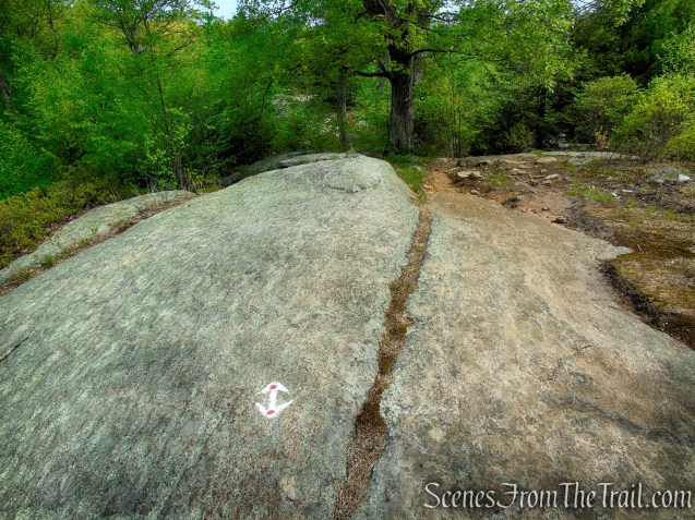 R-D Trail – Bald Rocks – Black Rock Mountain