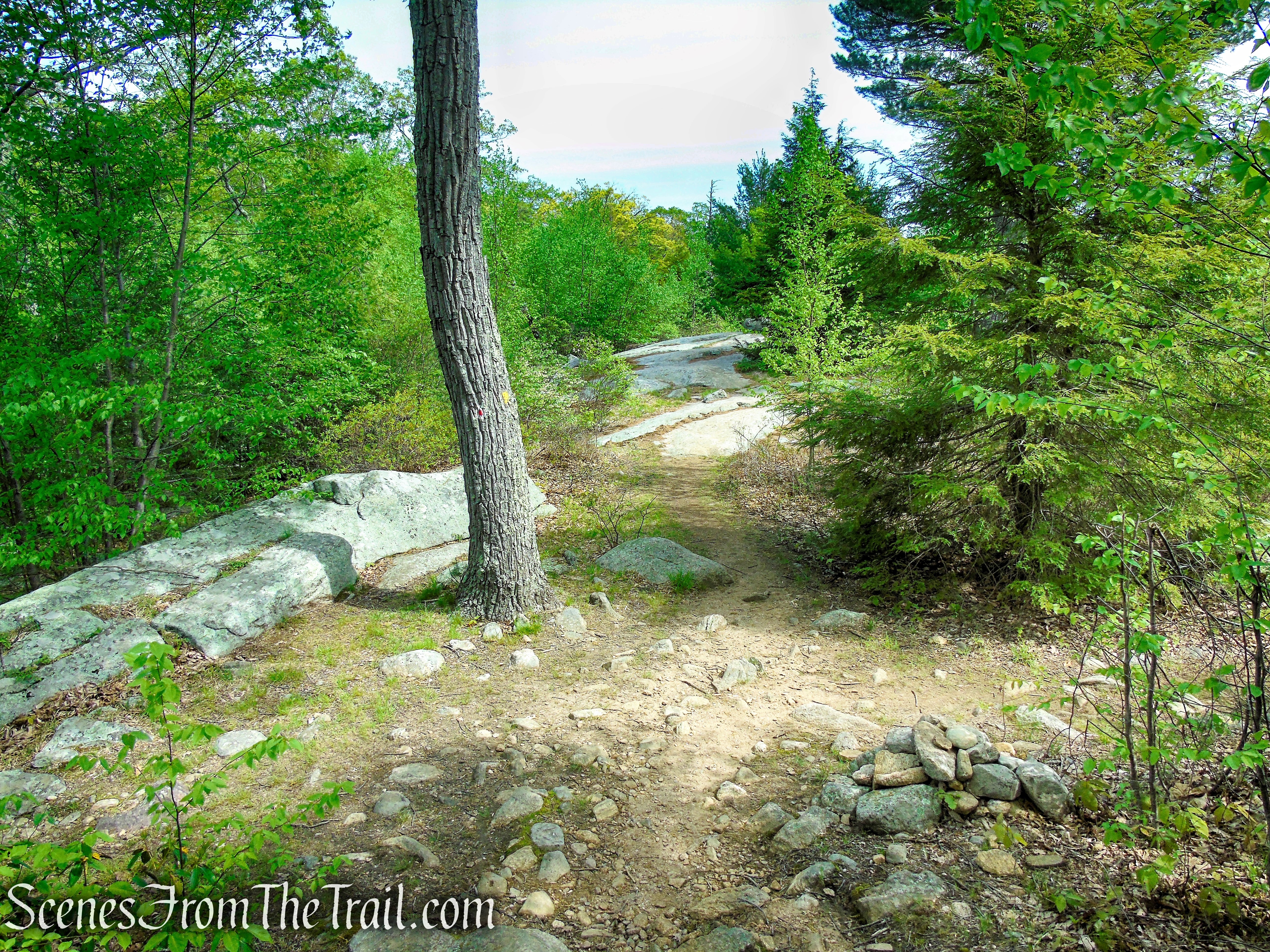 Turn left on Dunning Trail