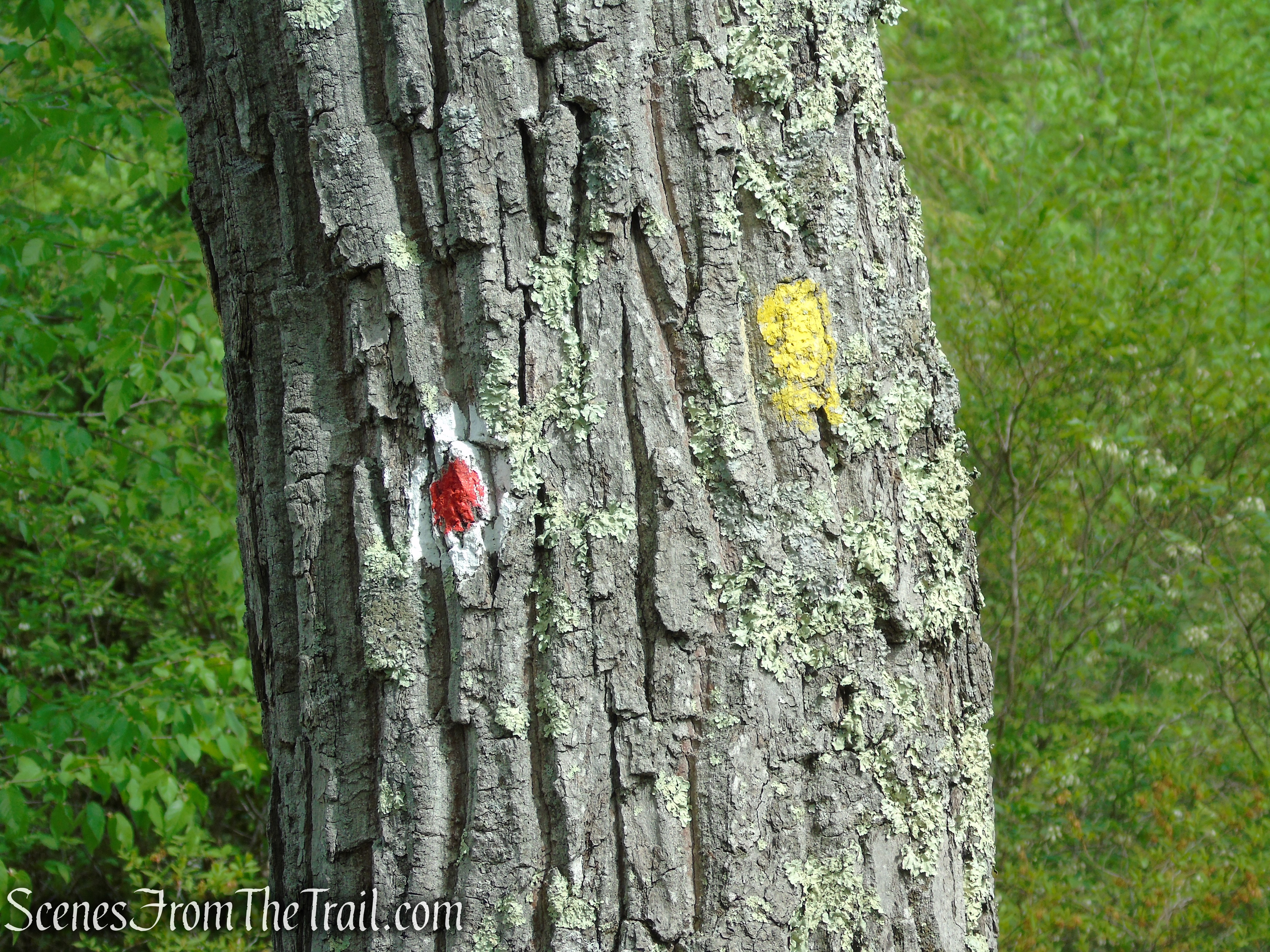 Turn left on Dunning Trail