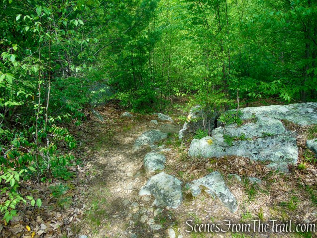 Dunning Trail – Black Rock Mountain