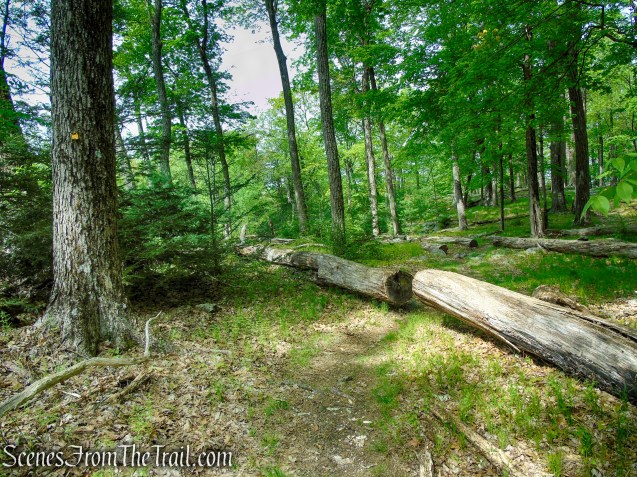 Dunning Trail – Black Rock Mountain