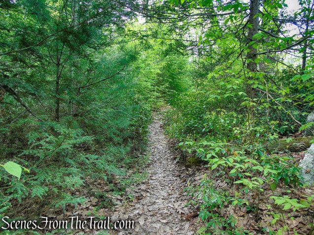 Coaligned Dunning/White Bar Trails – Black Rock Mountain