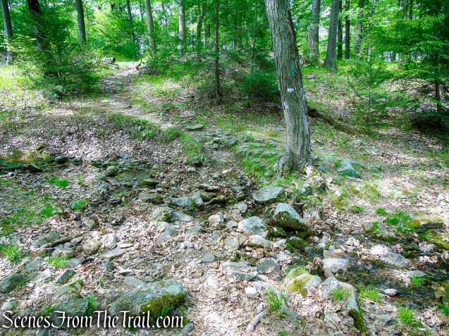 Stream crossing - White Bar Trail - Harriman State Park