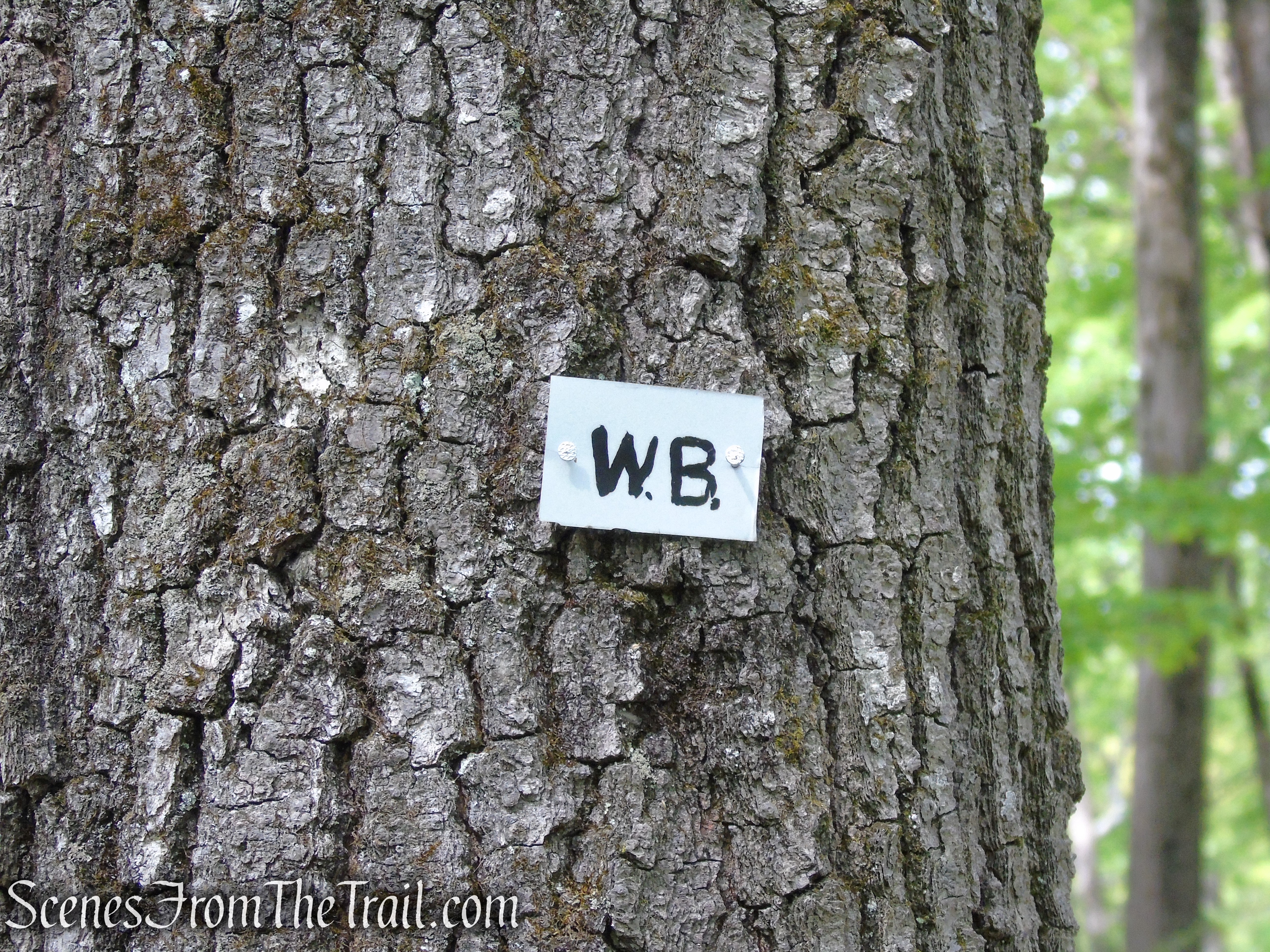White Bar Trail - Harriman State Park