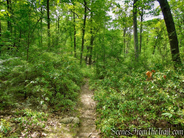 White Bar Trail - Harriman State Park