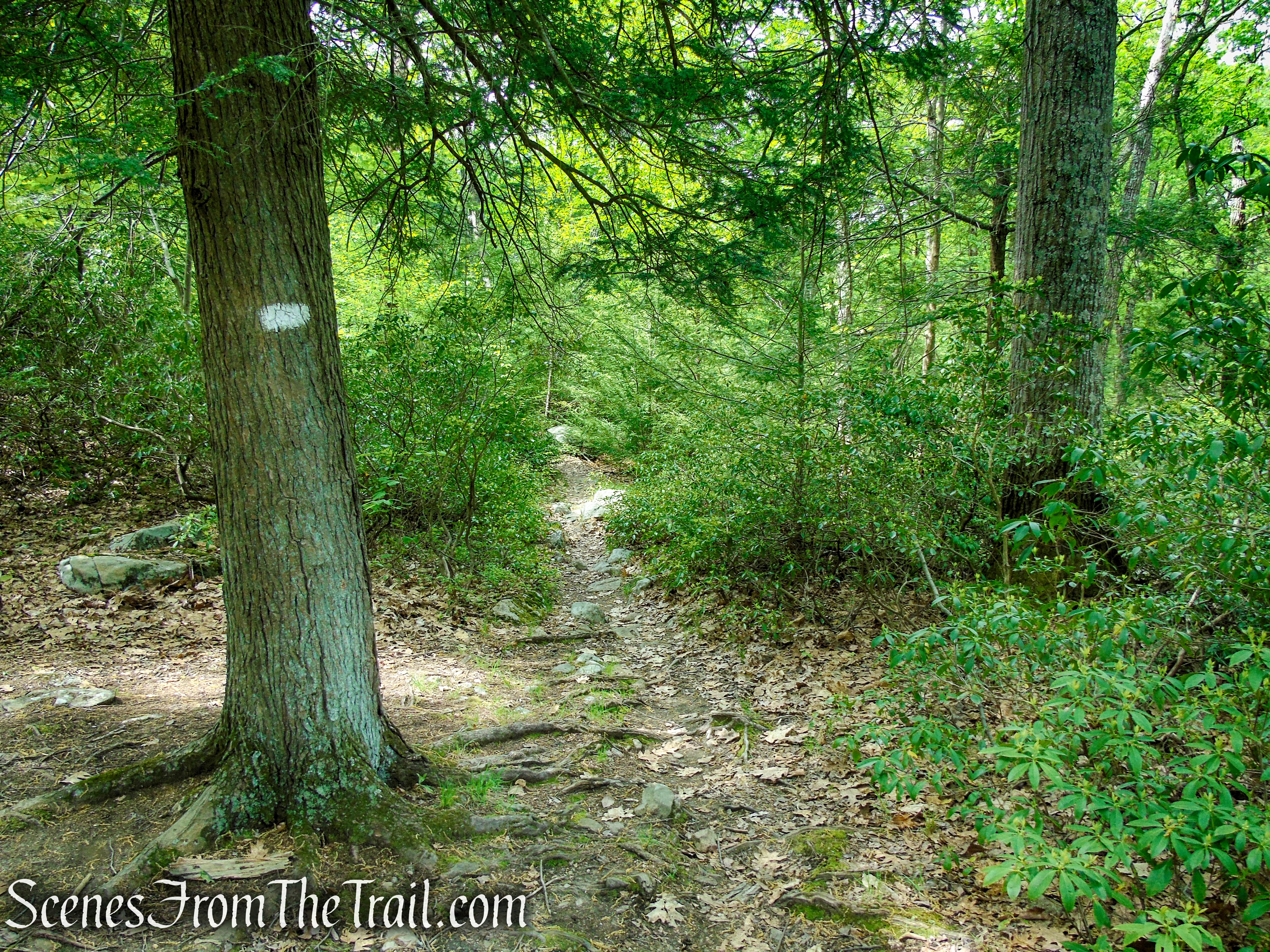 White Bar Trail - Harriman State Park