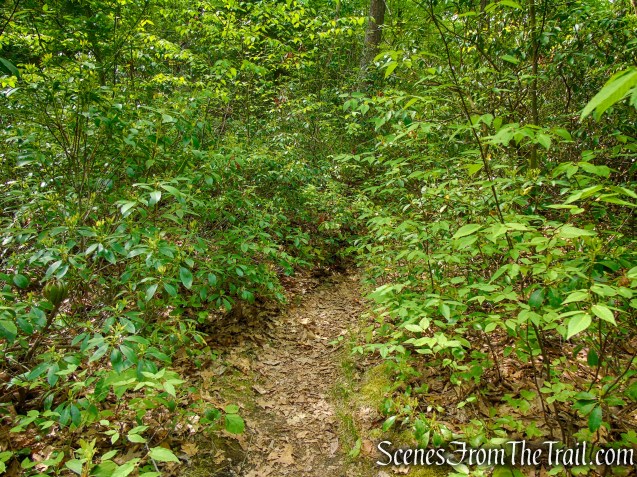 White Bar Trail - Harriman State Park