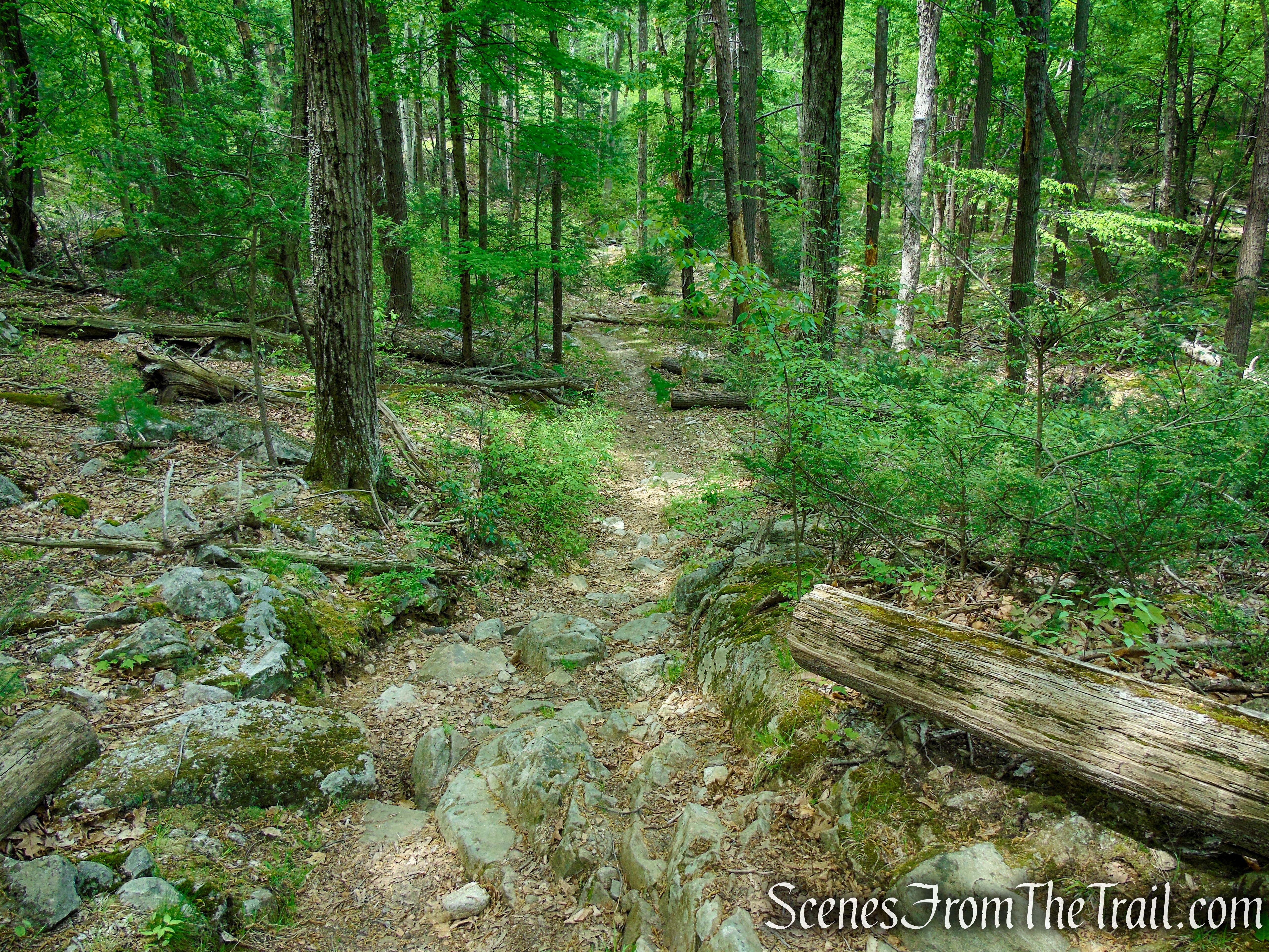 White Bar Trail - Harriman State Park